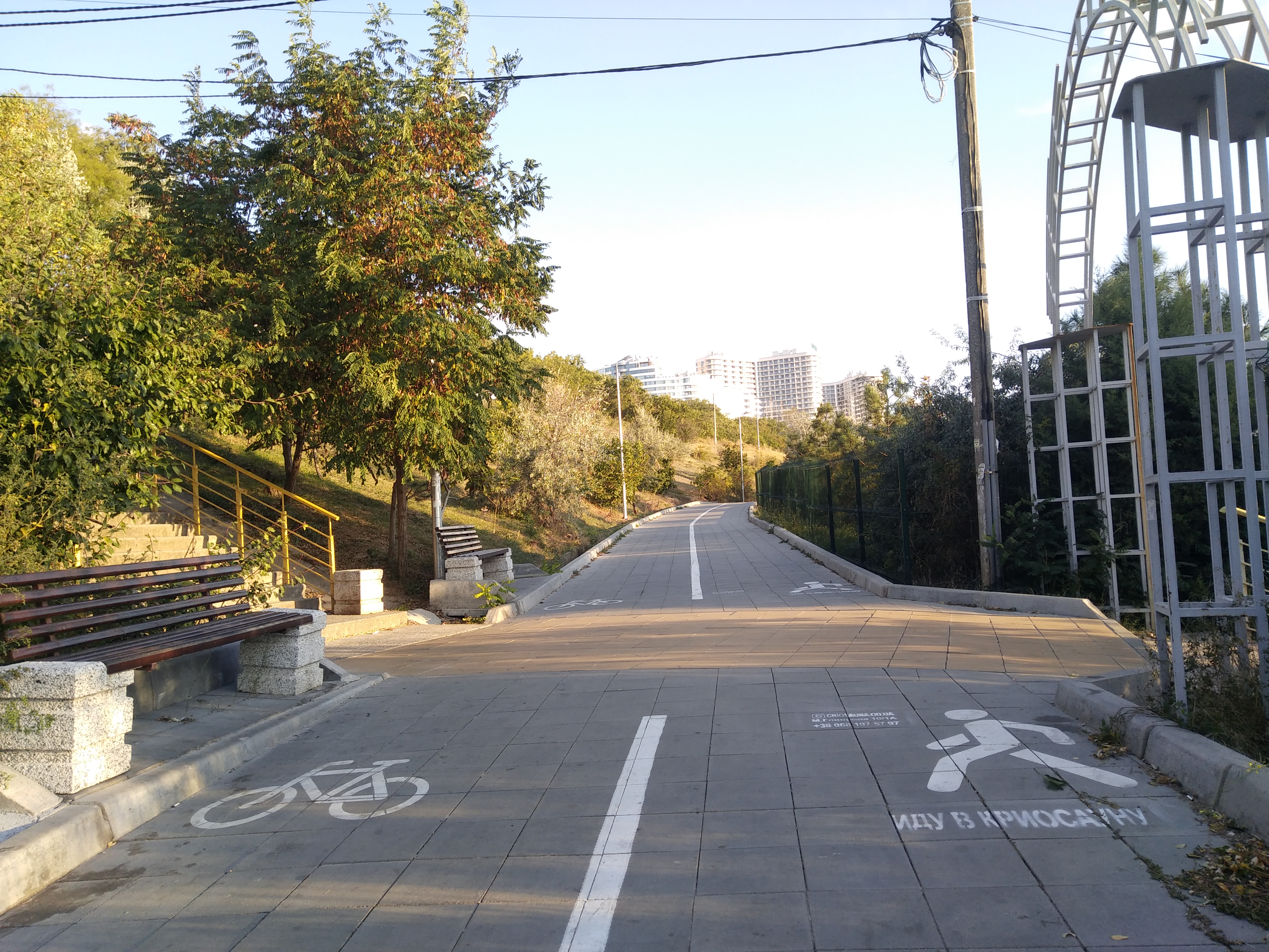 Как сейчас выглядит Трасса здоровья. Фото: Анна Веретенникова