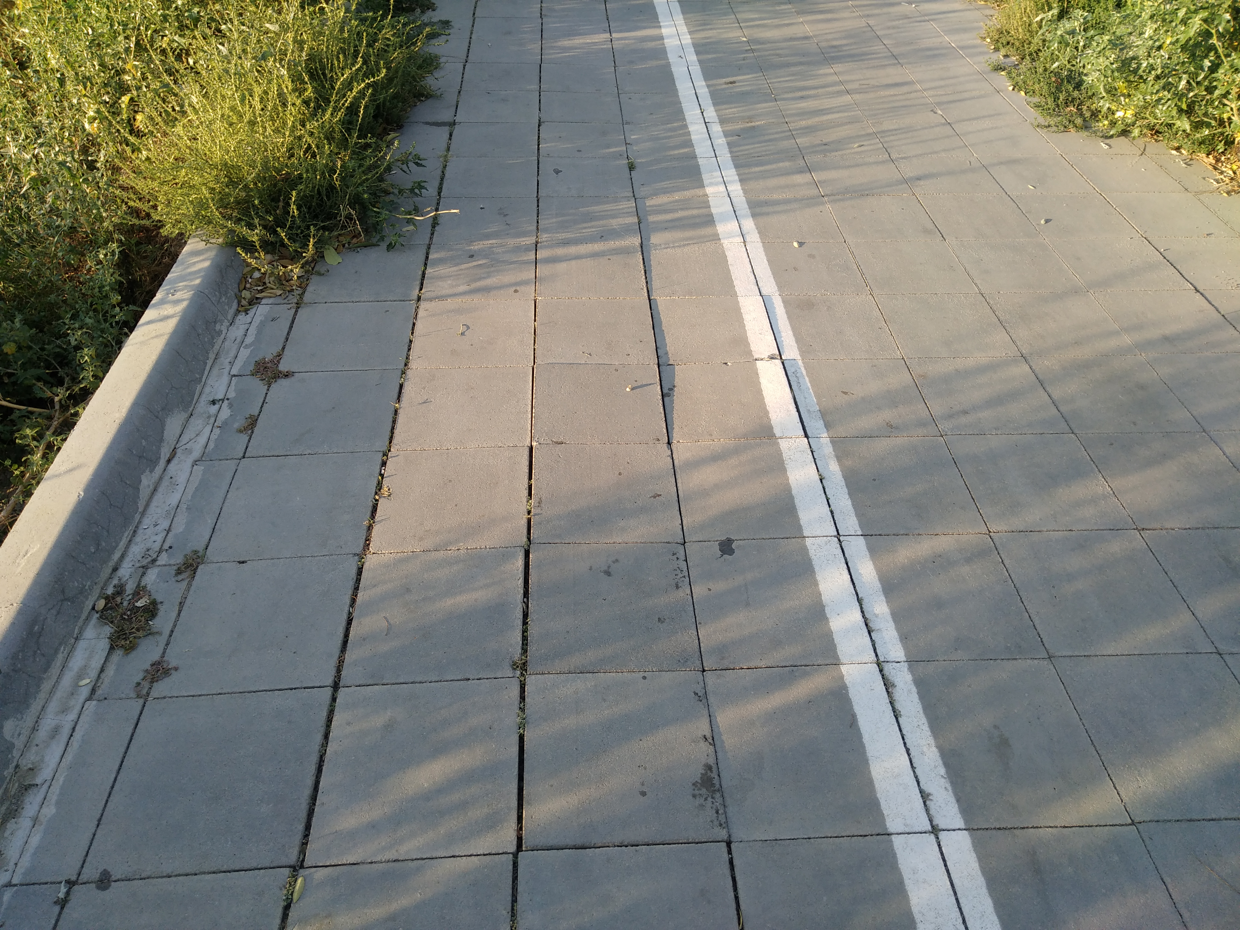 Как сейчас выглядит Трасса здоровья. Фото: Анна Веретенникова