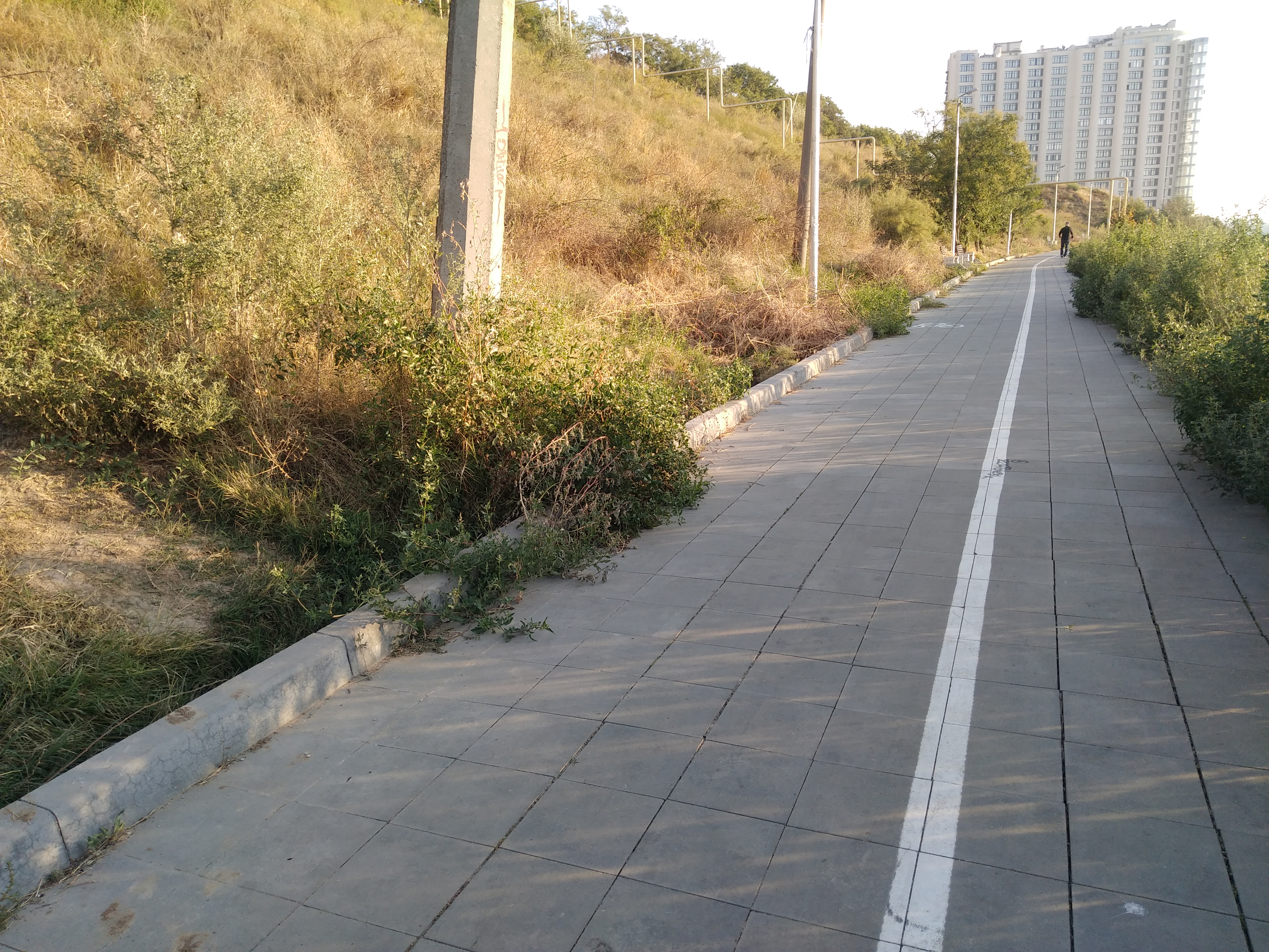 Как сейчас выглядит Трасса здоровья. Фото: Анна Веретенникова