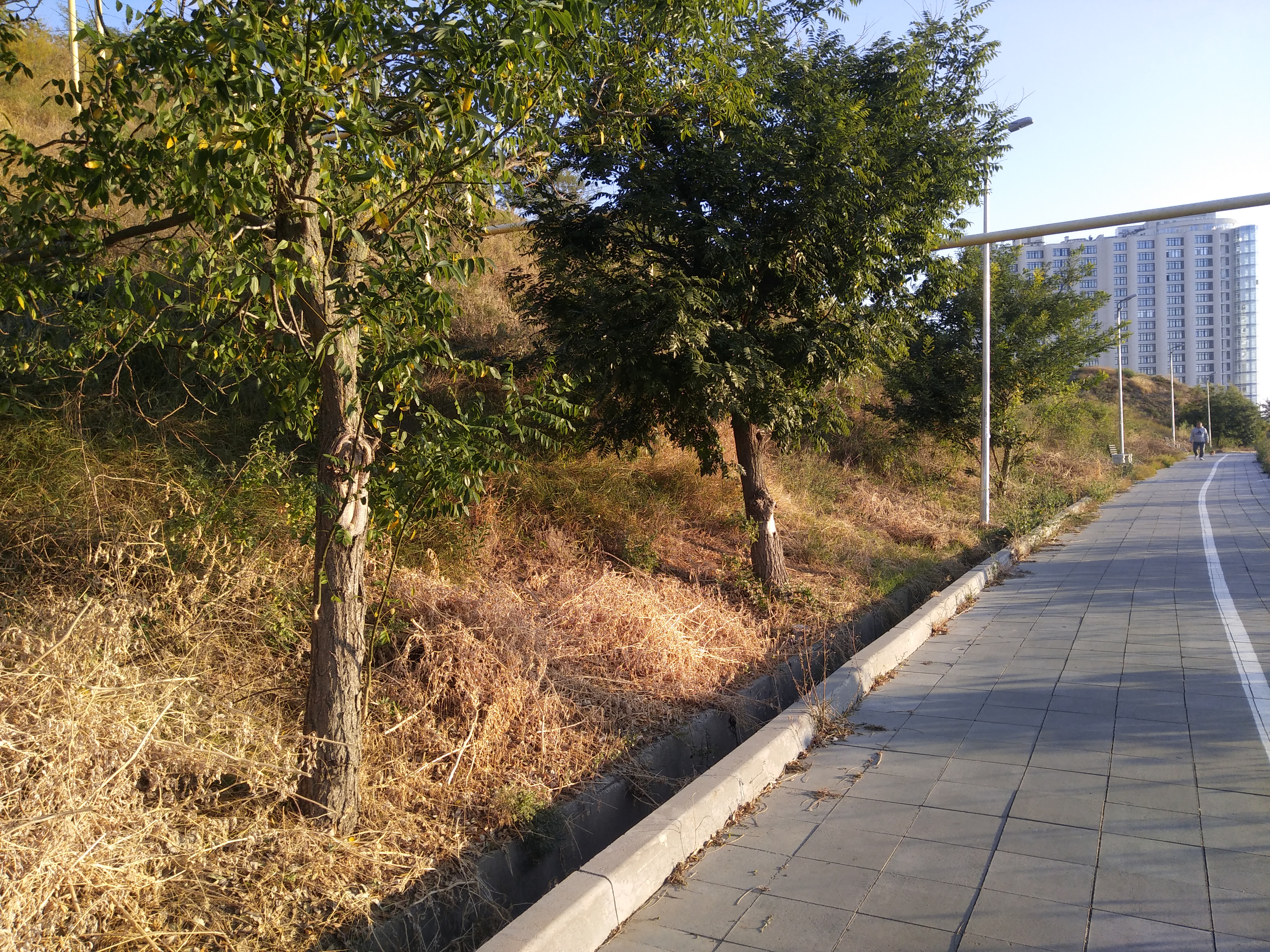 Как сейчас выглядит Трасса здоровья. Фото: Анна Веретенникова