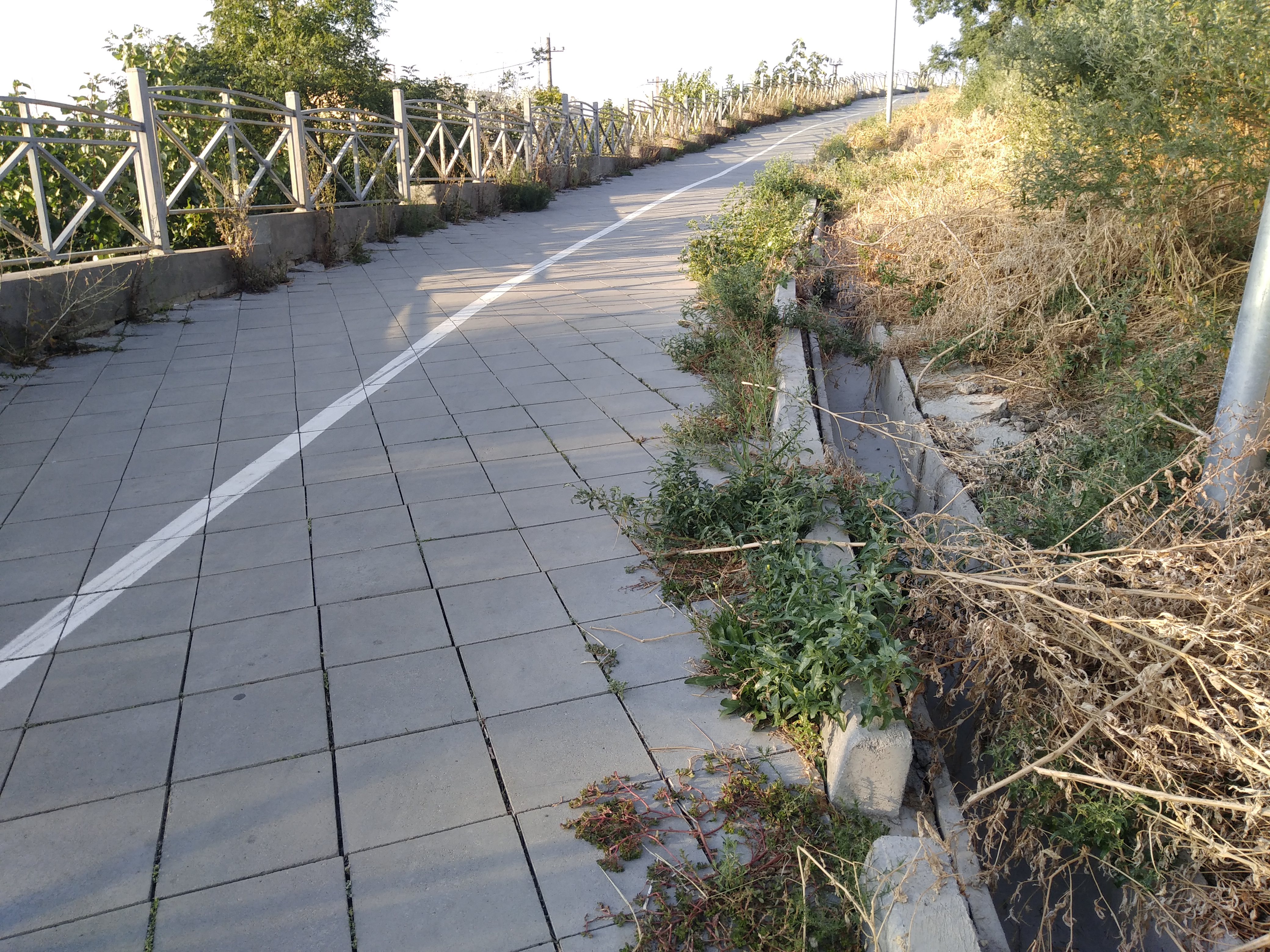 Как сейчас выглядит Трасса здоровья. Фото: Анна Веретенникова