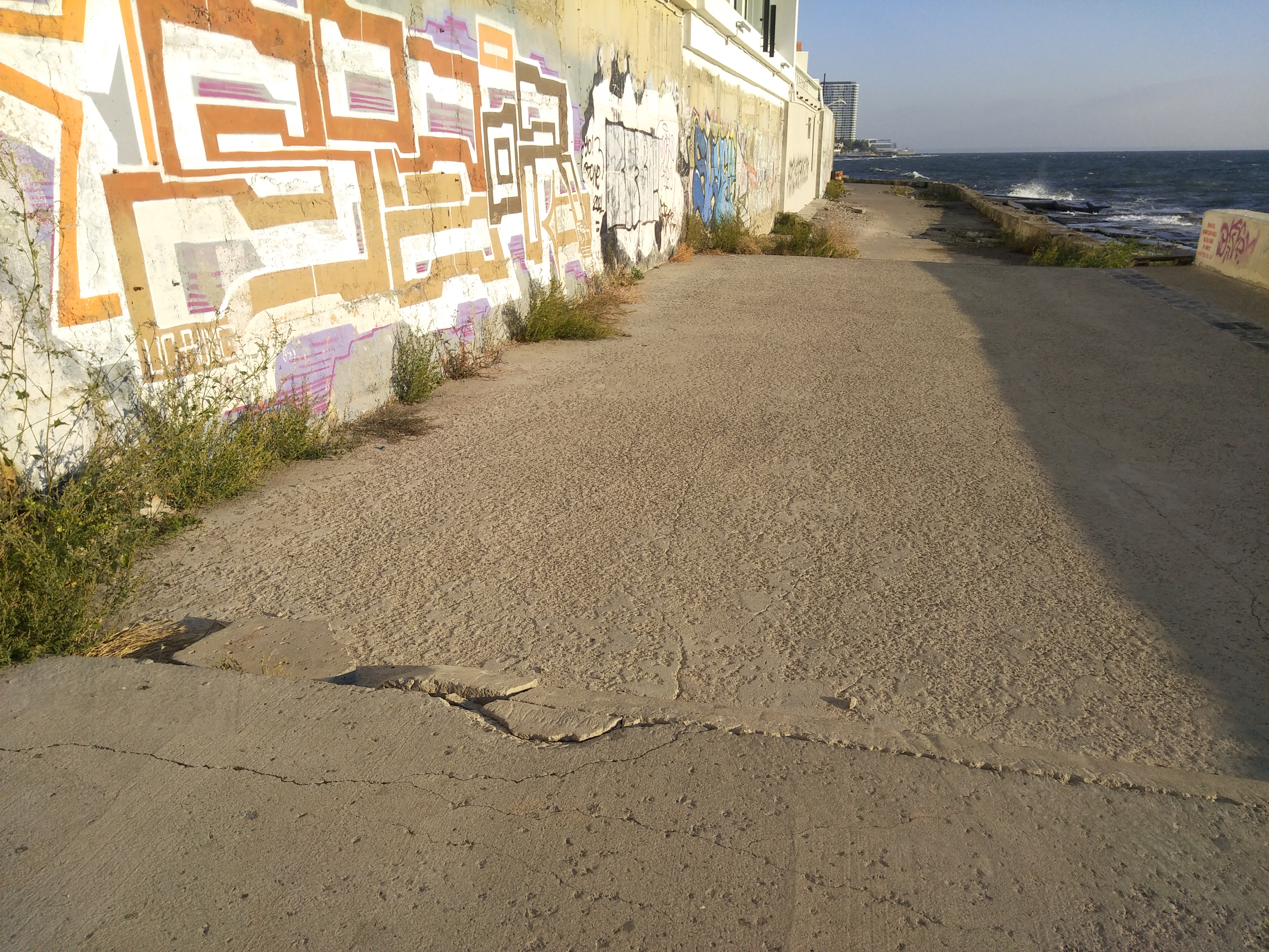 Как сейчас выглядит Трасса здоровья. Фото: Анна Веретенникова