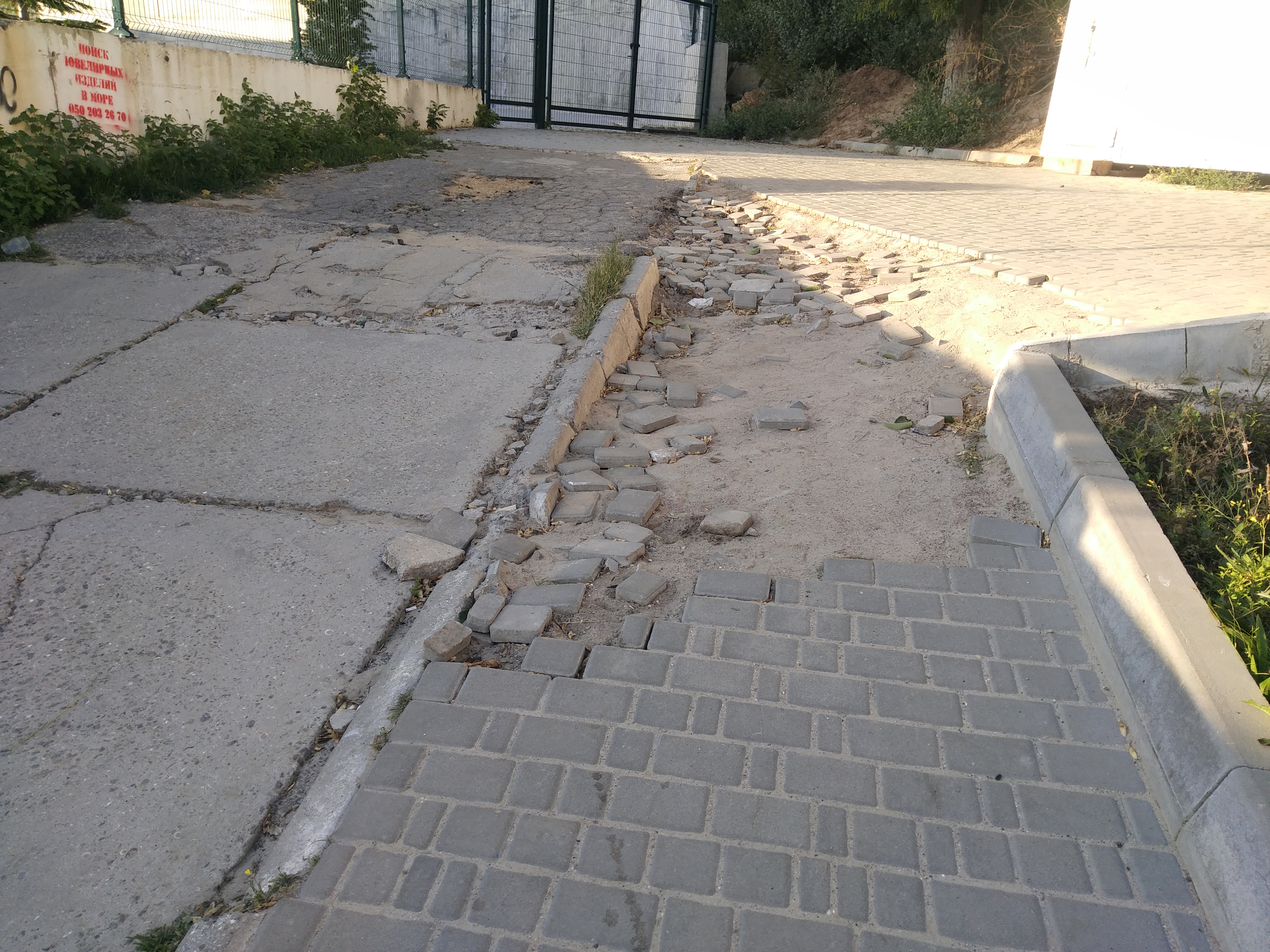 Как сейчас выглядит Трасса здоровья. Фото: Анна Веретенникова