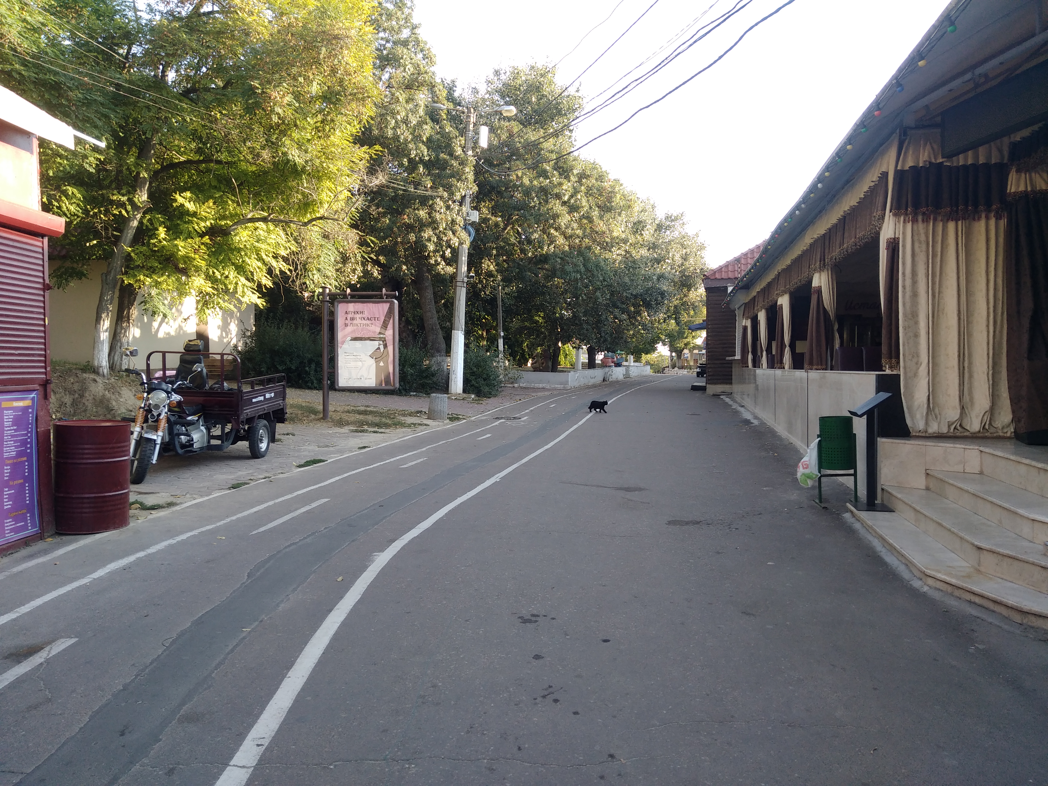 Как сейчас выглядит Трасса здоровья. Фото: Анна Веретенникова