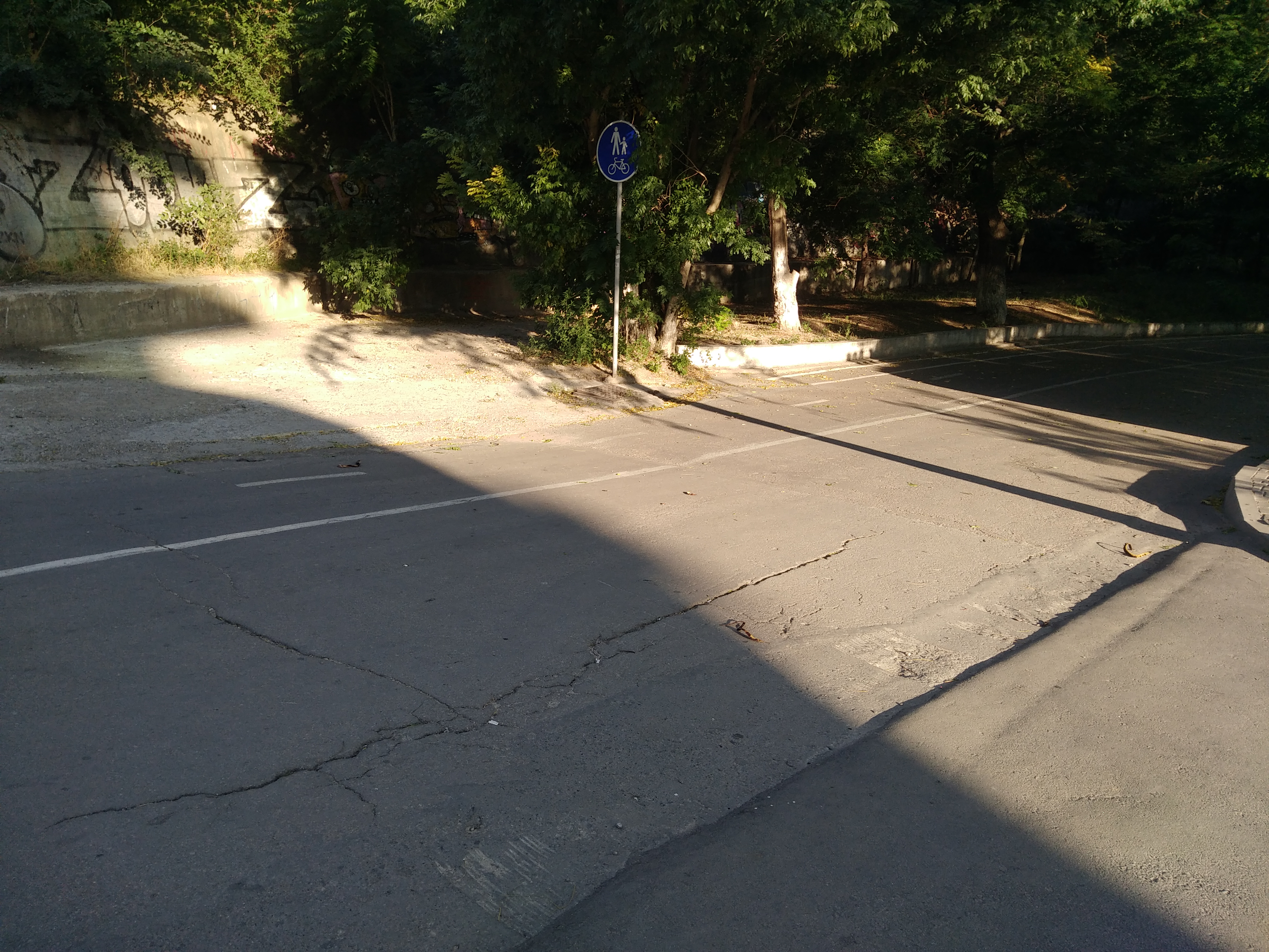 Как сейчас выглядит Трасса здоровья. Фото: Анна Веретенникова