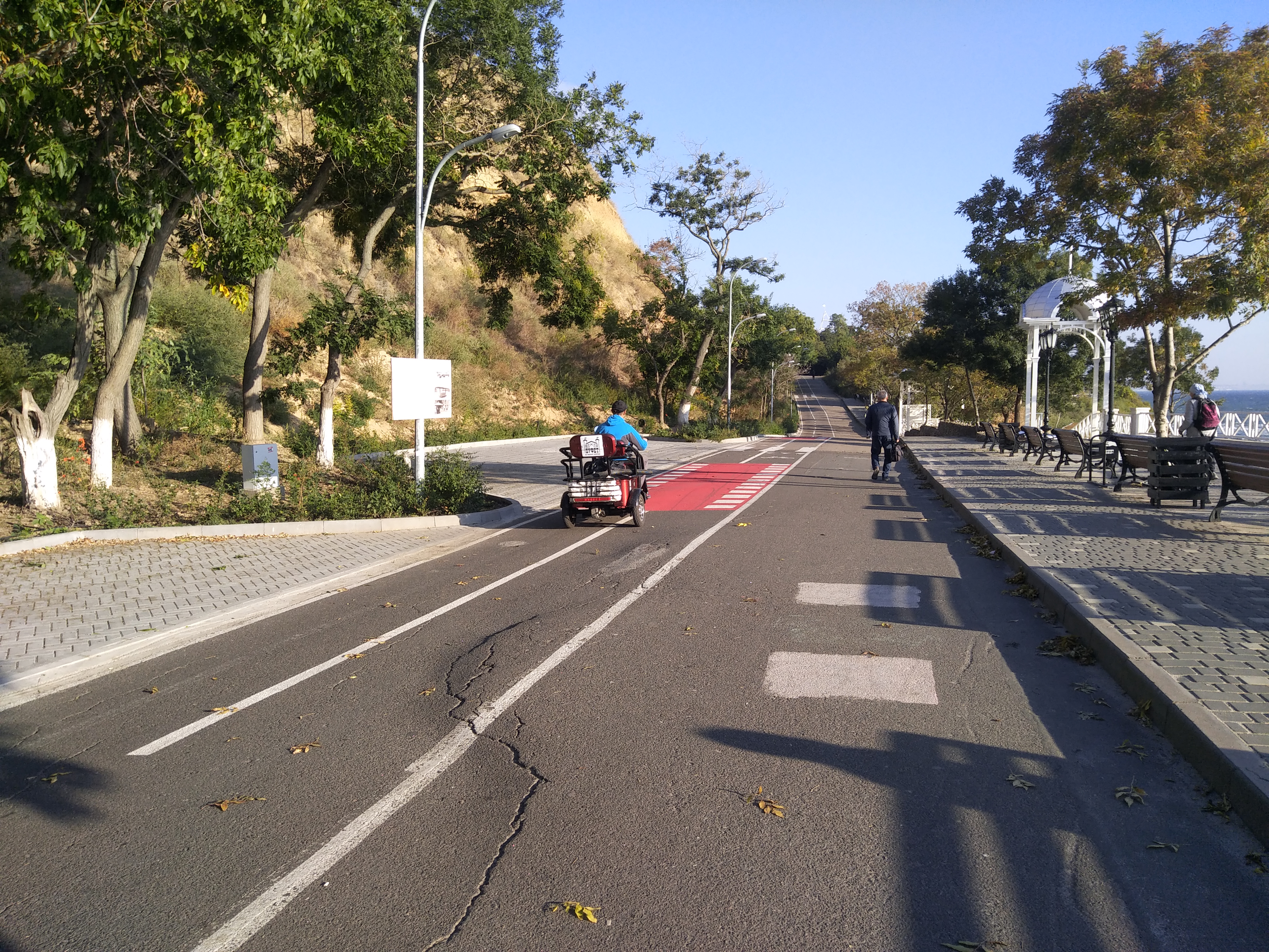 Как сейчас выглядит Трасса здоровья. Фото: Анна Веретенникова
