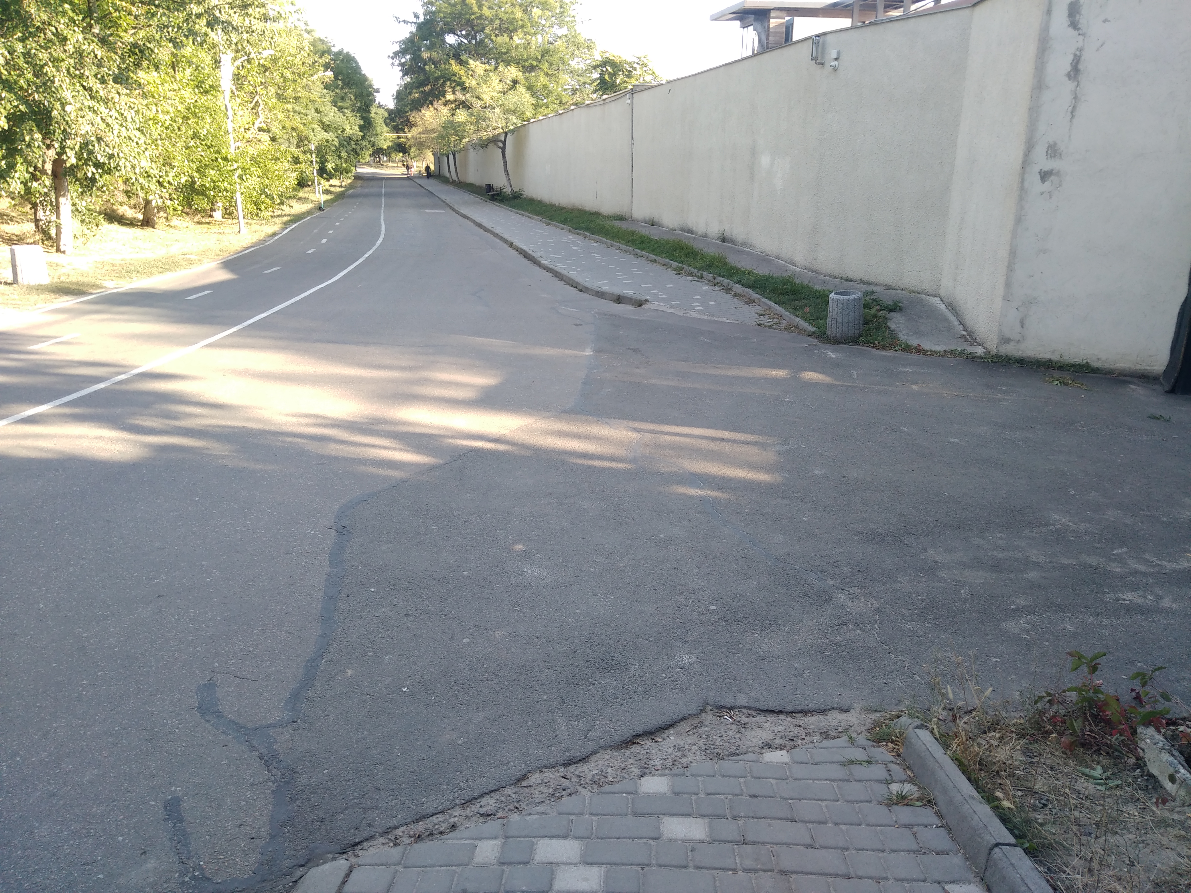 Как сейчас выглядит Трасса здоровья. Фото: Анна Веретенникова