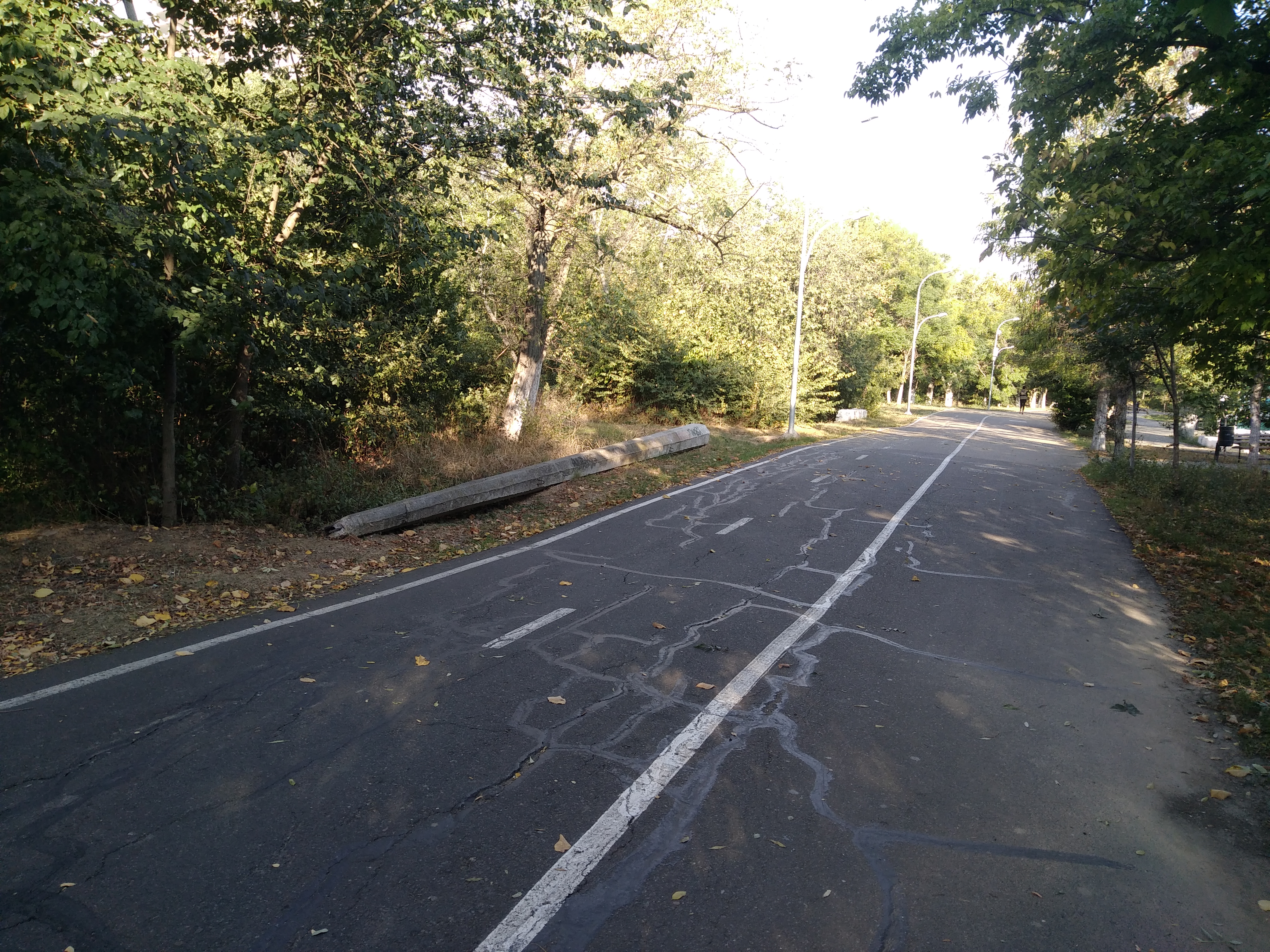 Как сейчас выглядит Трасса здоровья. Фото: Анна Веретенникова