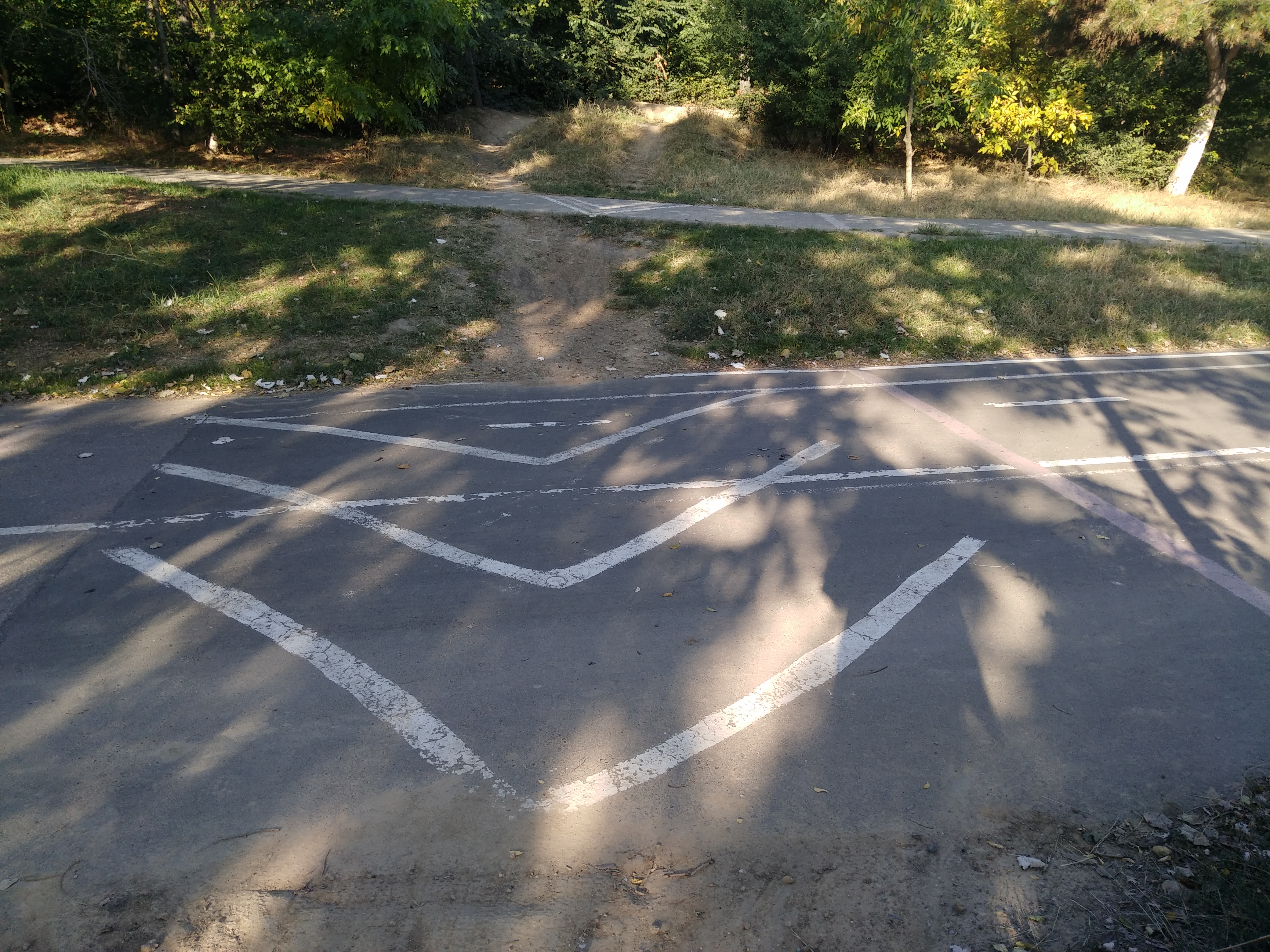 Как сейчас выглядит Трасса здоровья. Фото: Анна Веретенникова