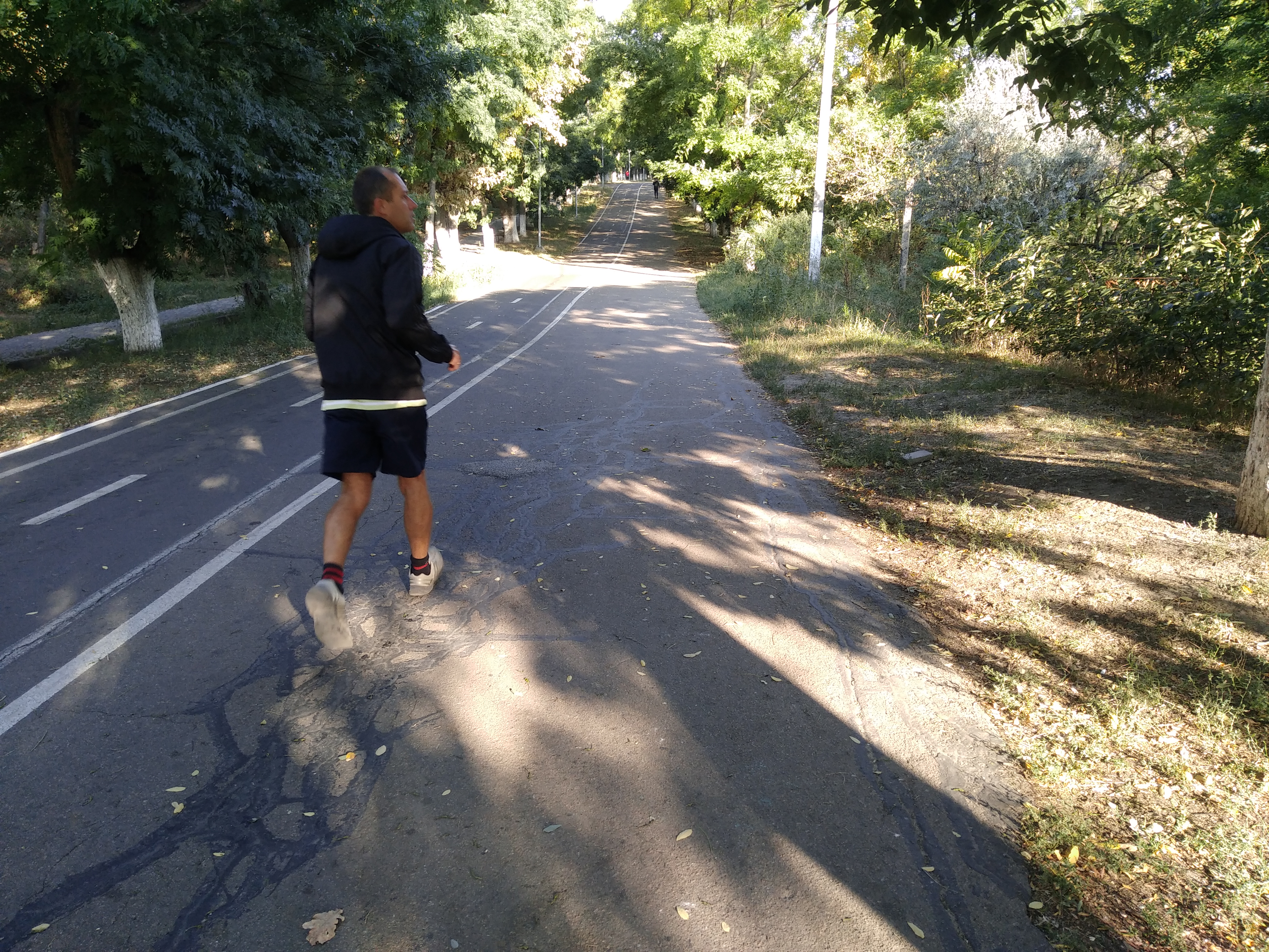 Как сейчас выглядит Трасса здоровья. Фото: Анна Веретенникова