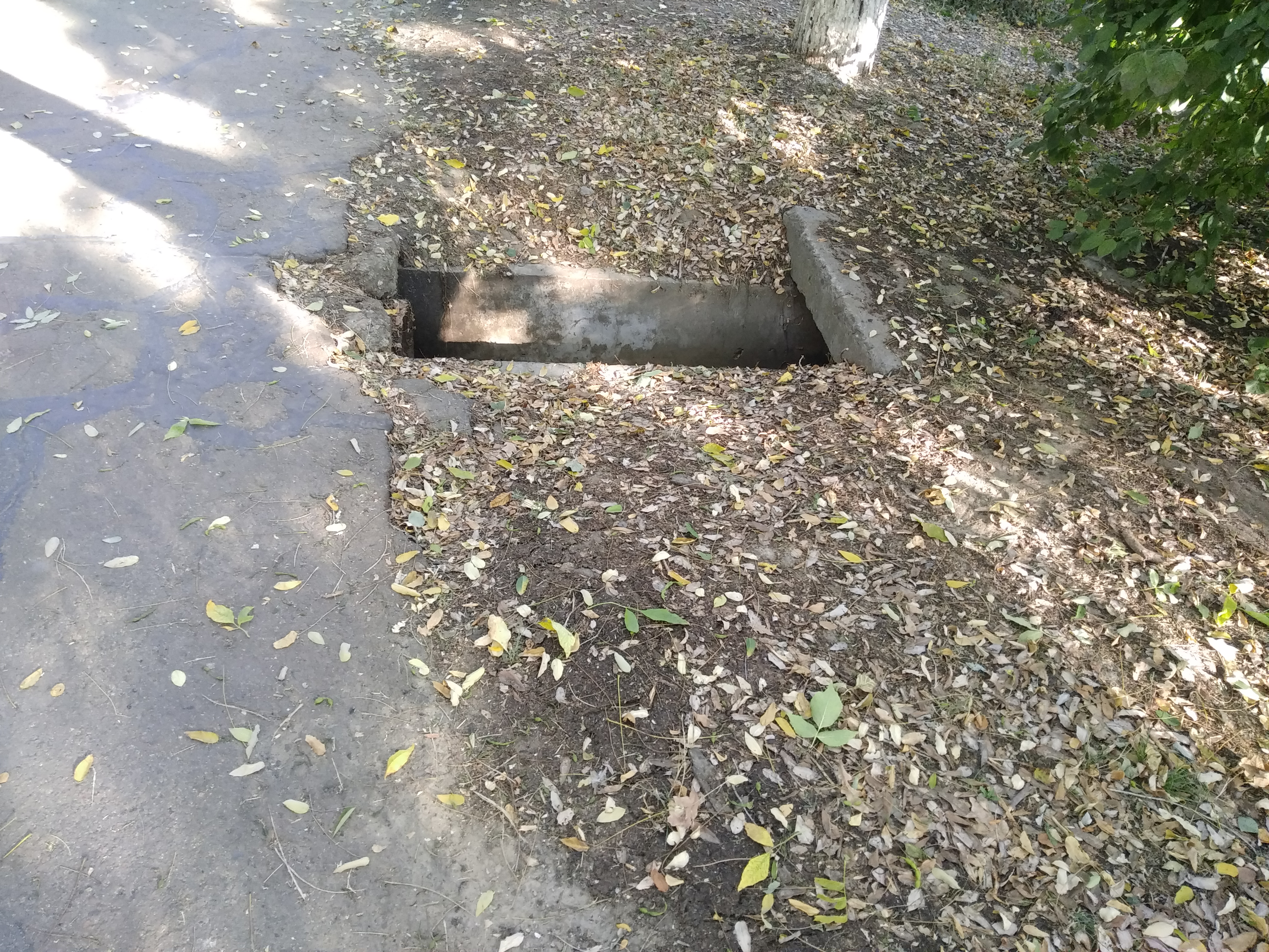 Как сейчас выглядит Трасса здоровья. Фото: Анна Веретенникова