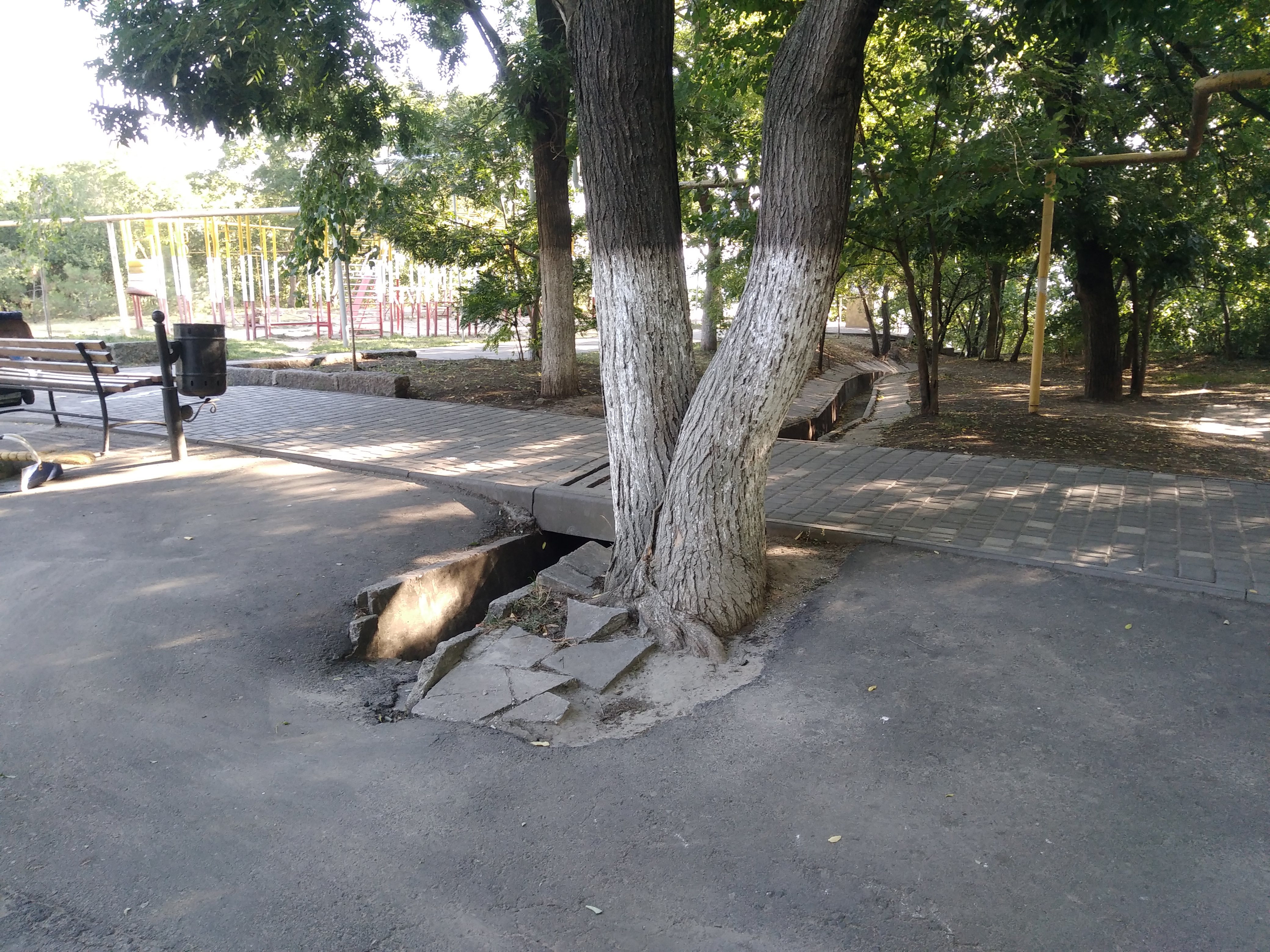 Как сейчас выглядит Трасса здоровья. Фото: Анна Веретенникова