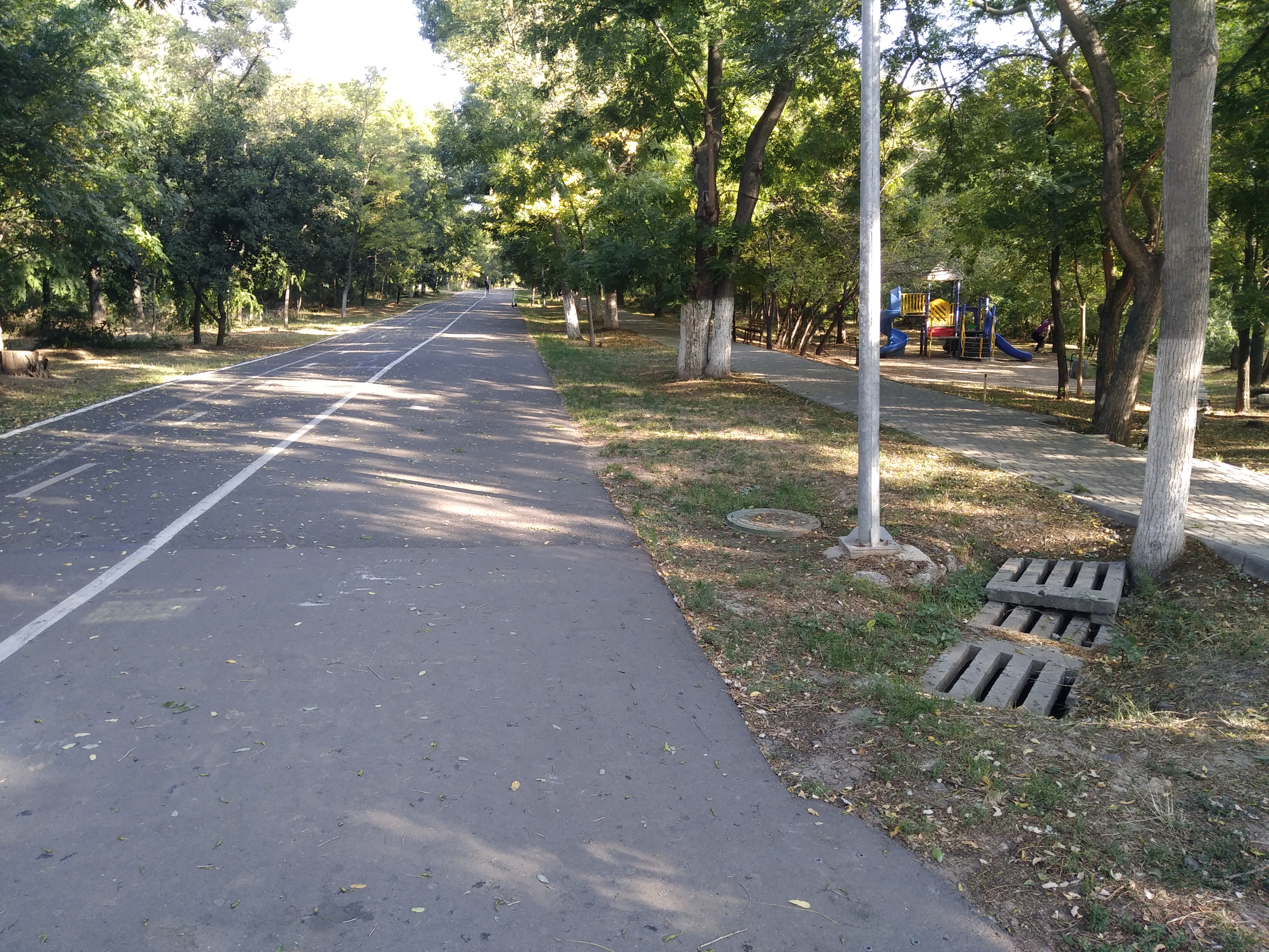 Как сейчас выглядит Трасса здоровья. Фото: Анна Веретенникова