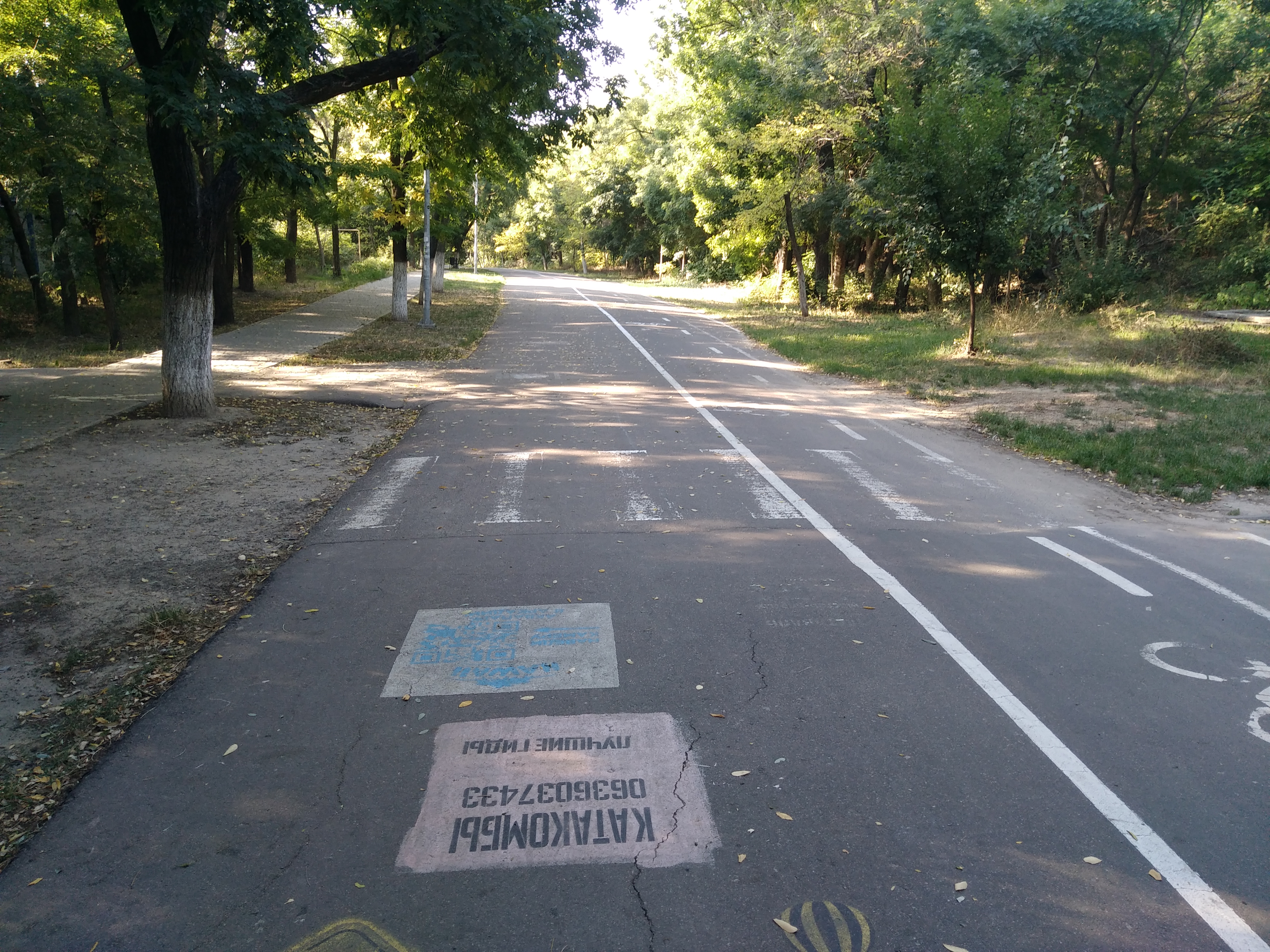 Как сейчас выглядит Трасса здоровья. Фото: Анна Веретенникова