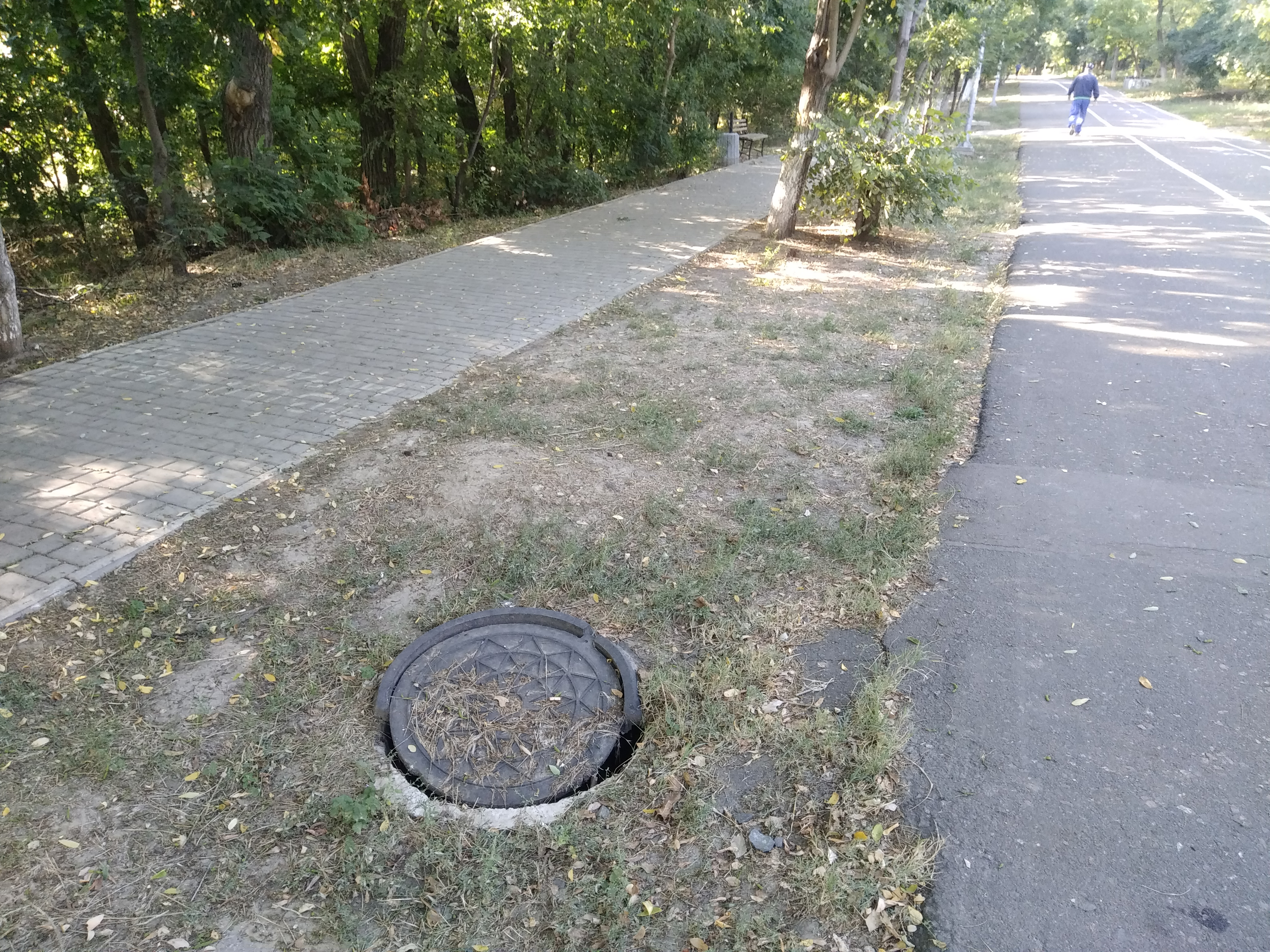 Как сейчас выглядит Трасса здоровья. Фото: Анна Веретенникова