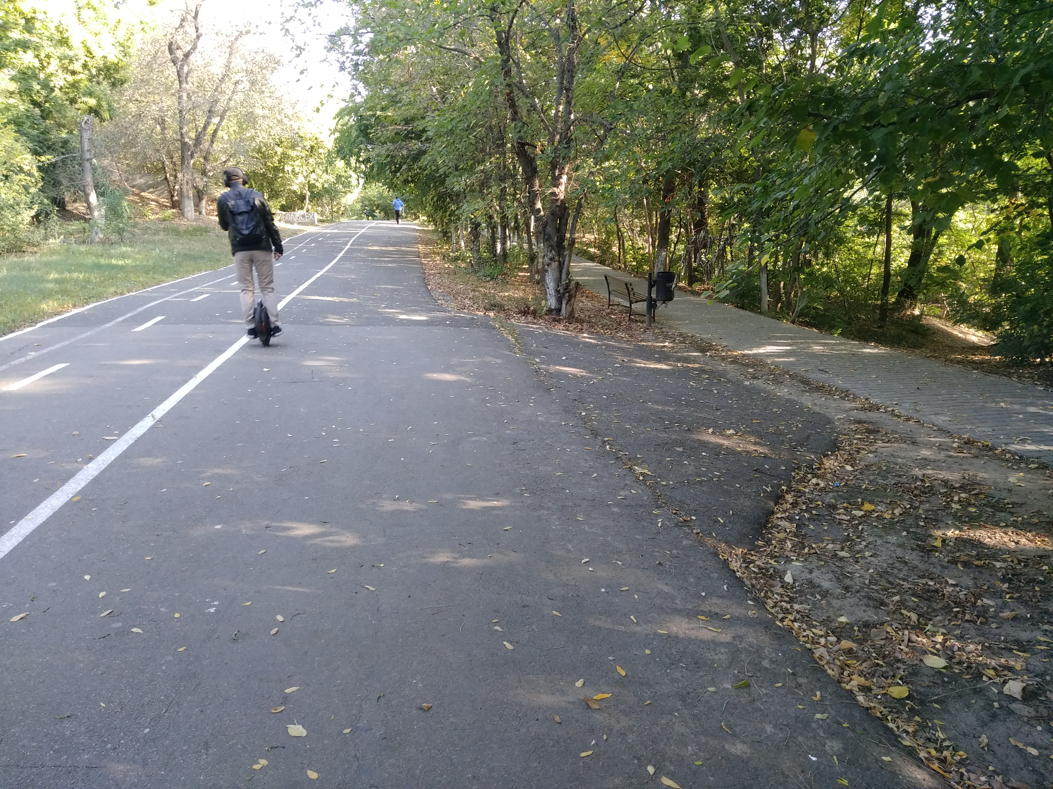 Как сейчас выглядит Трасса здоровья. Фото: Анна Веретенникова