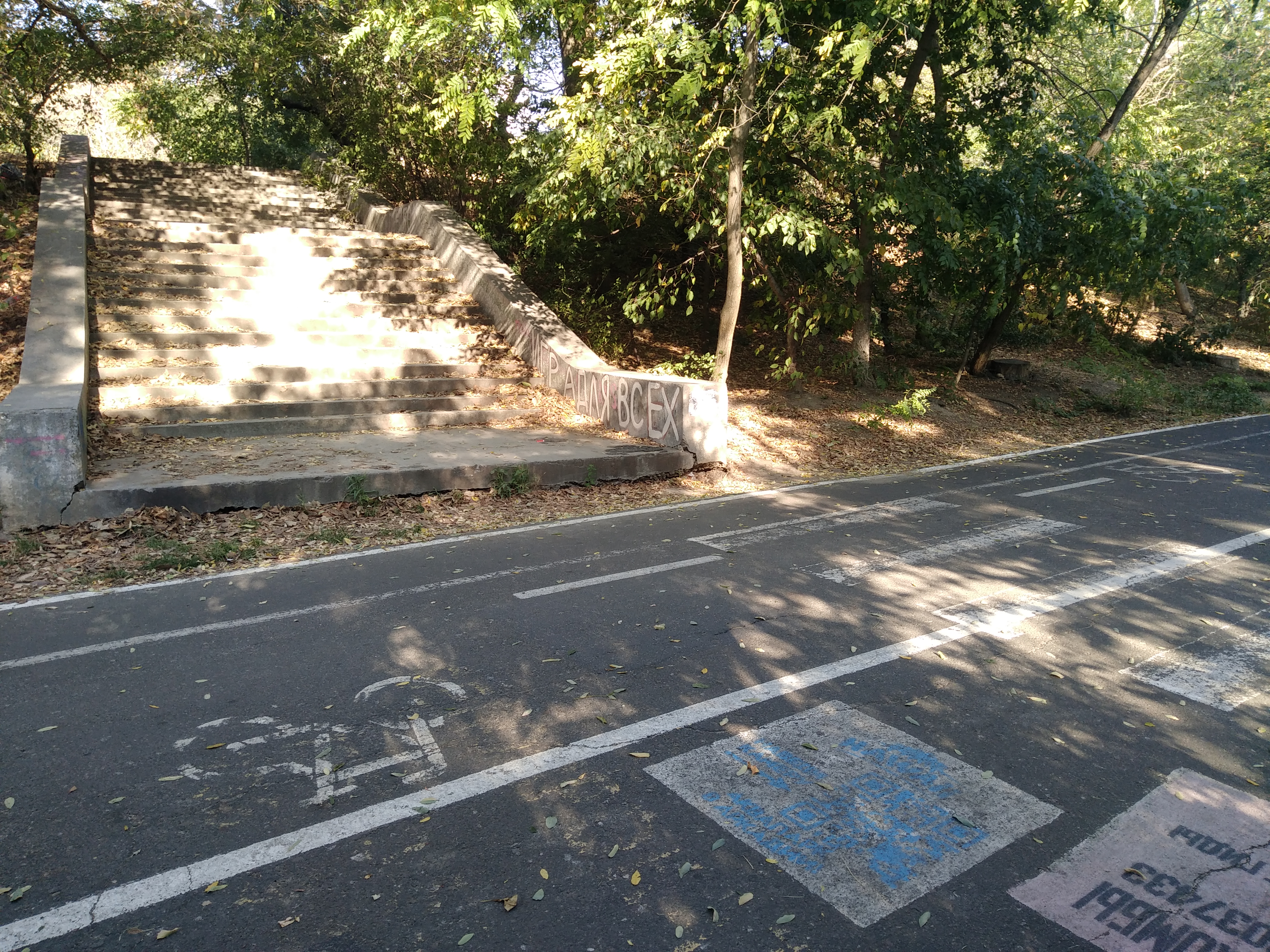 Как сейчас выглядит Трасса здоровья. Фото: Анна Веретенникова