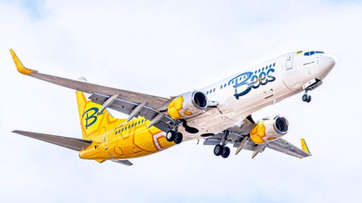 Самолет лоукоста Bees Airline