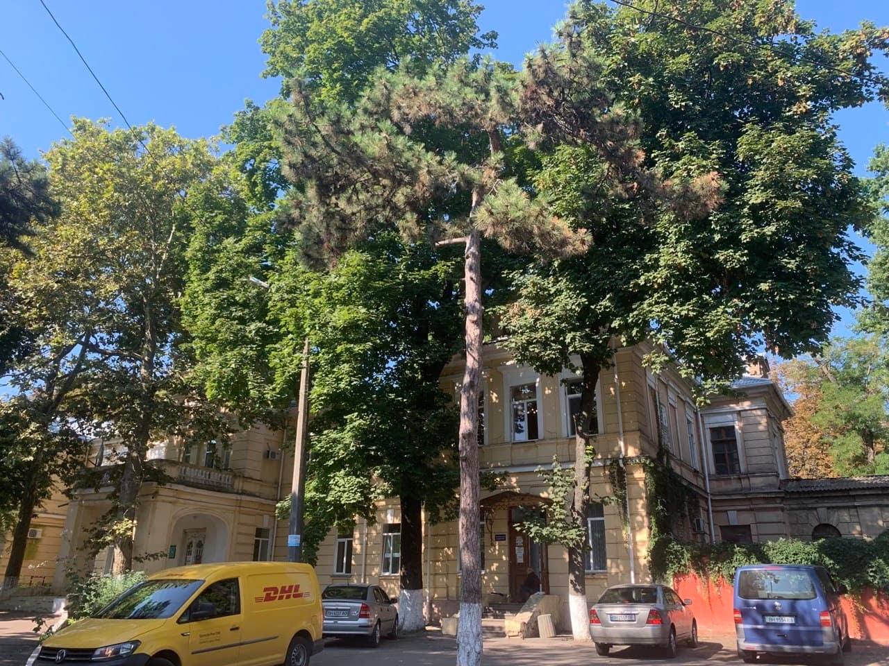 Одесская психбольница. Фото представителя уполномоченного по правам человека в Южных областях
