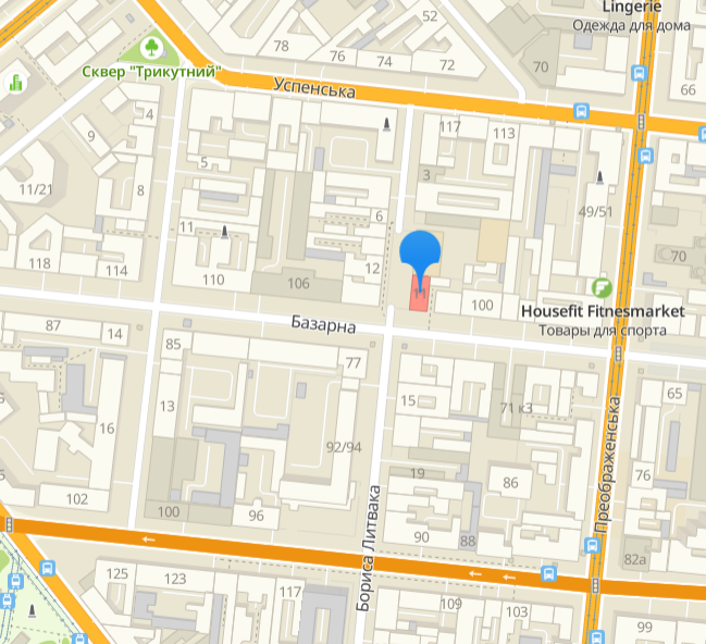 Улица Бориса Литвака, участок от дома № 7 до дома № 11. Скриншот 2gis.ua