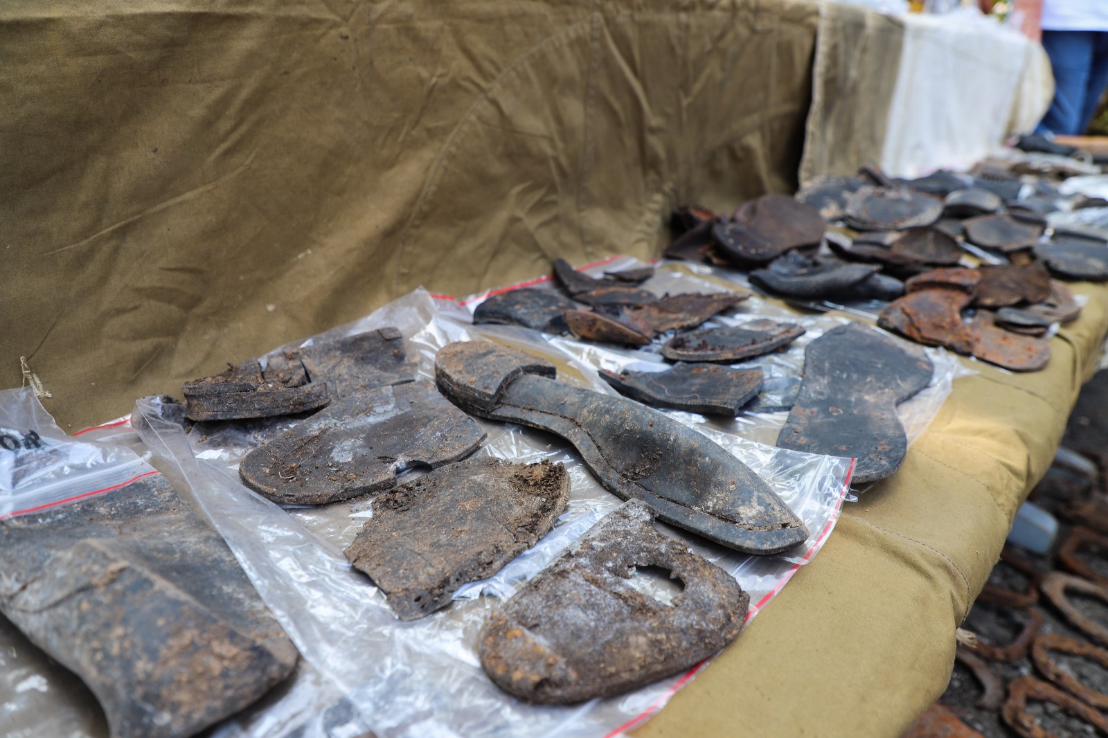 Раскопки массовых захоронений. Фото: Одесский горсовет