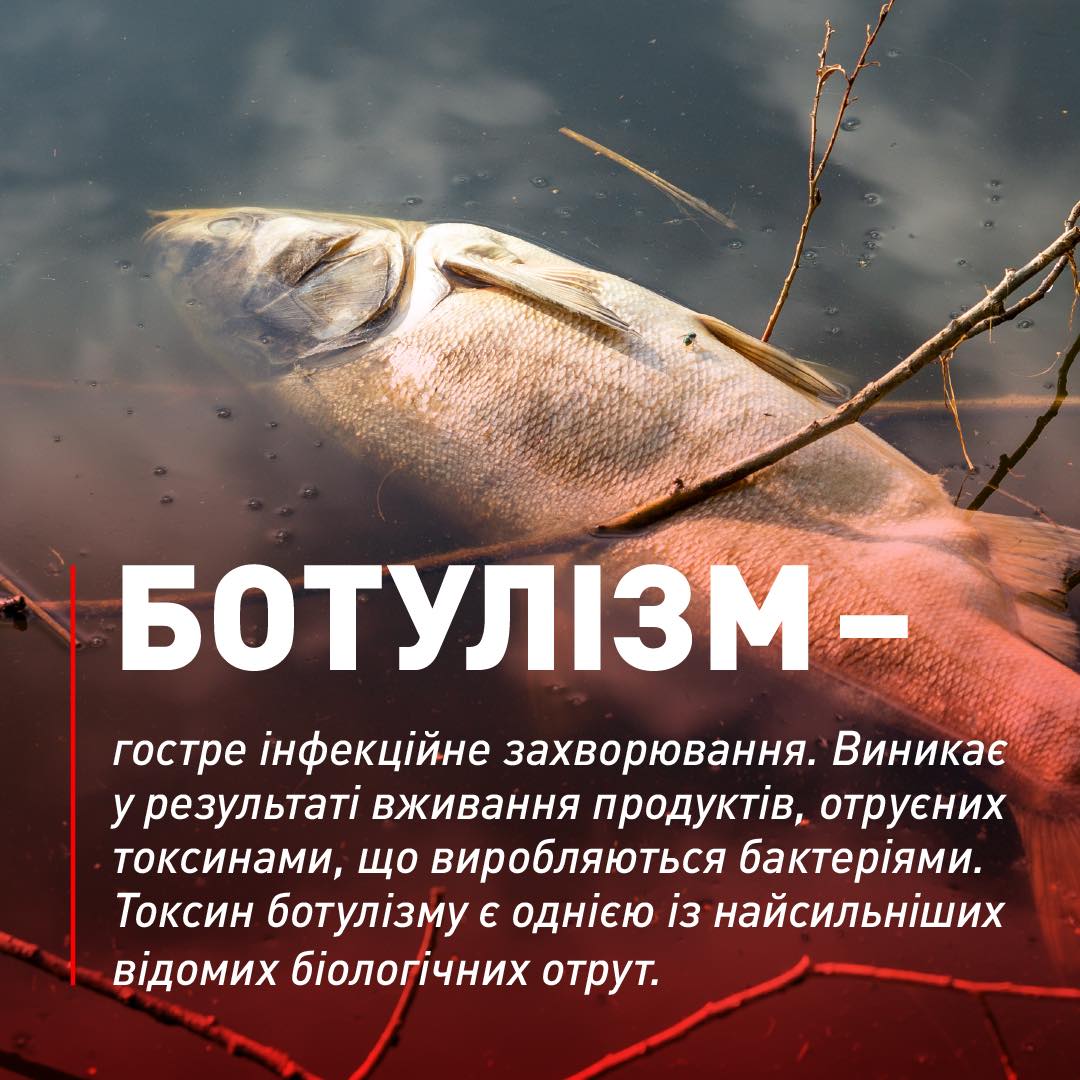 Фото: facebook.com/solorgovua