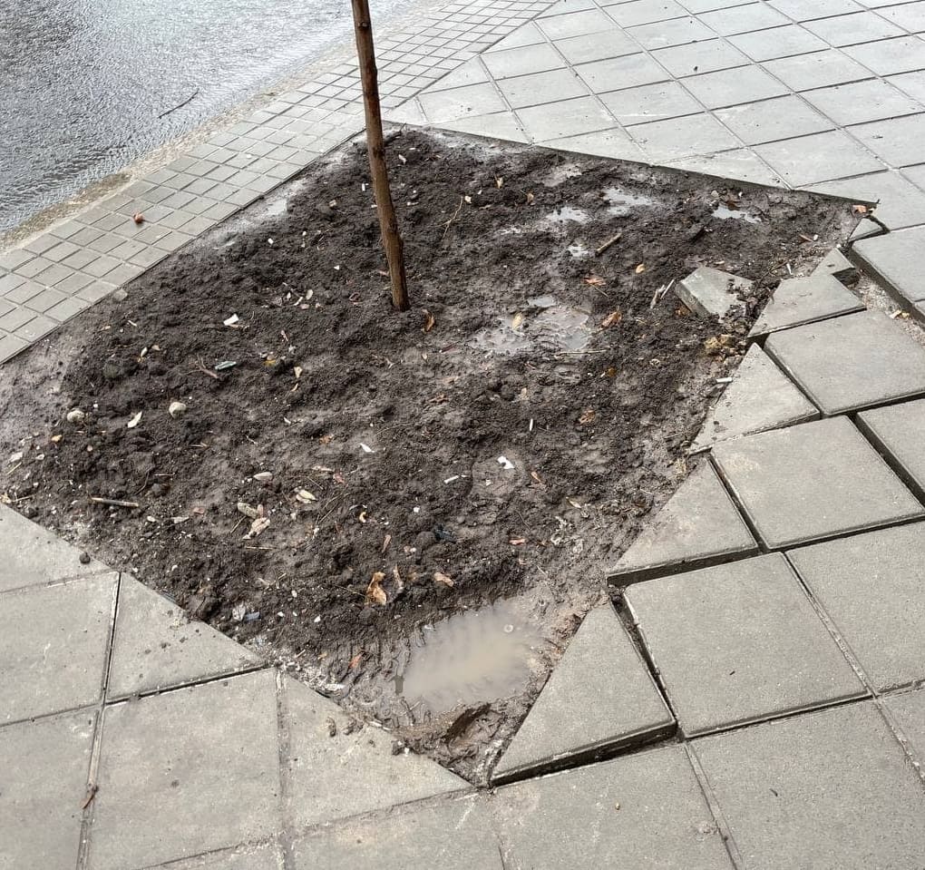 В Одессе "утонул" спуск Маринеско.