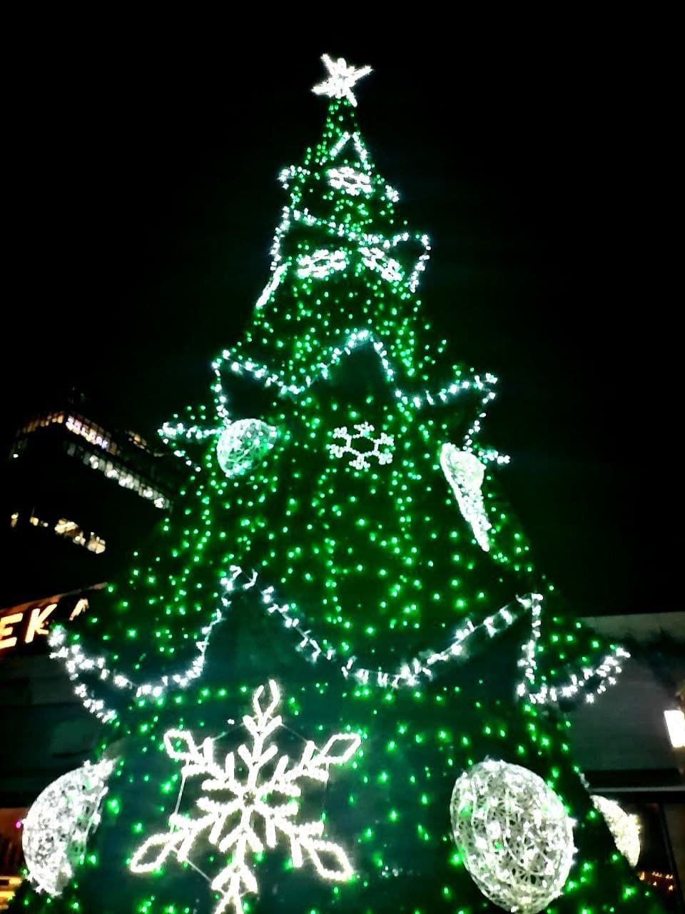 Елка в Аркадии.