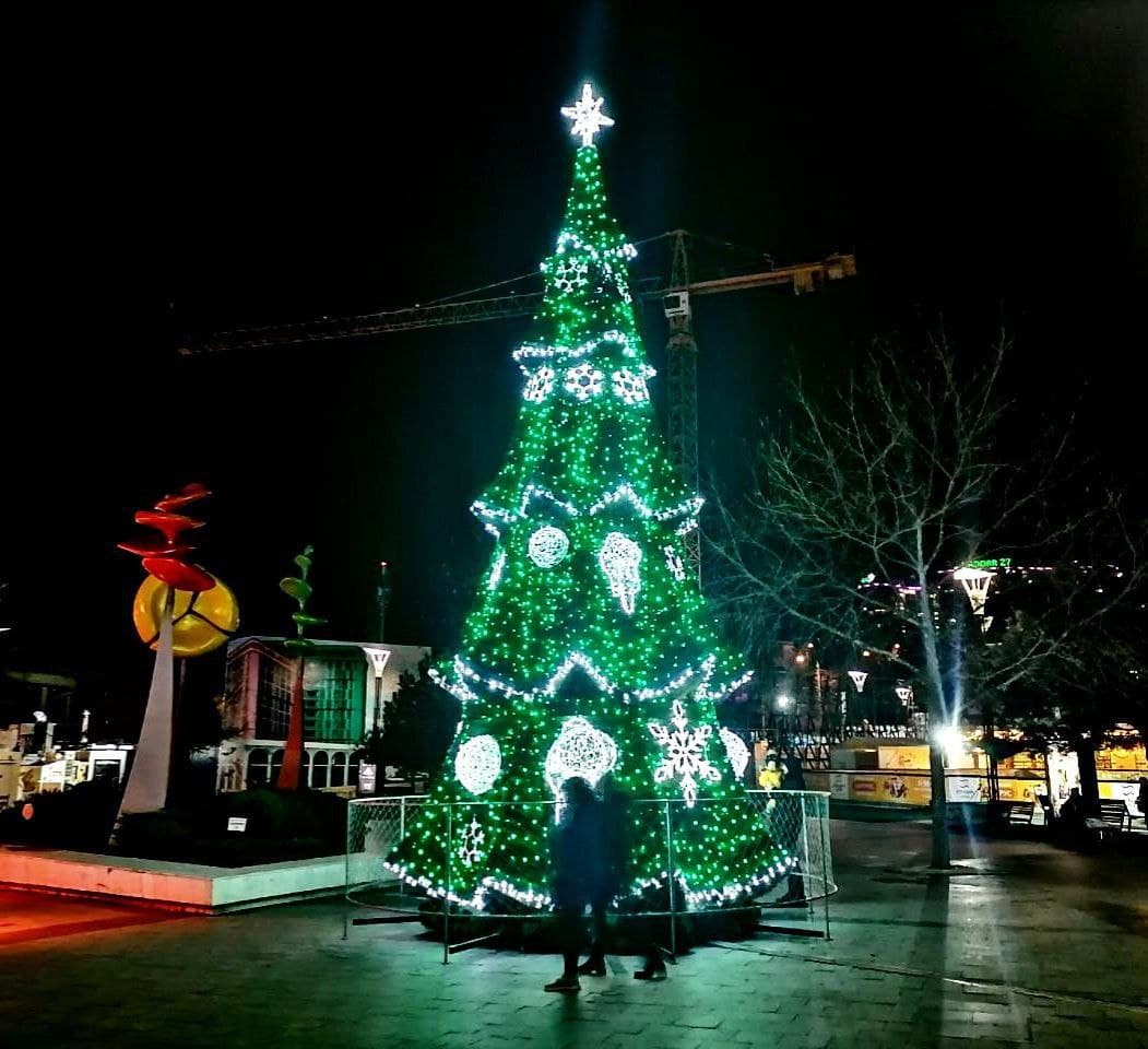 Елка в Аркадии.