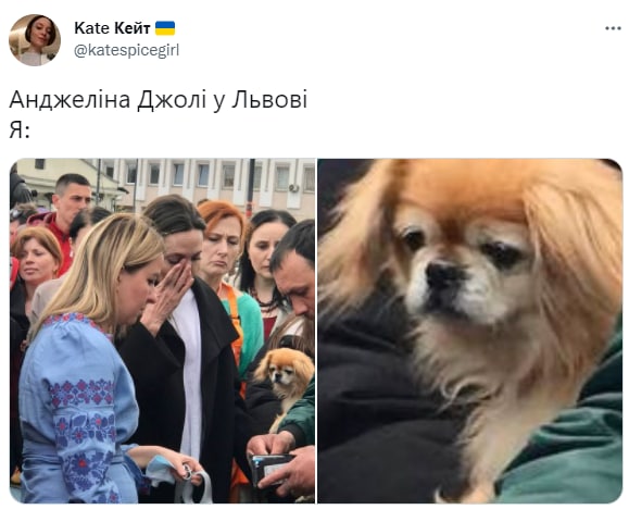 В Сети появились мемы о приезде Анджелины Джоли в Украину: подборка.