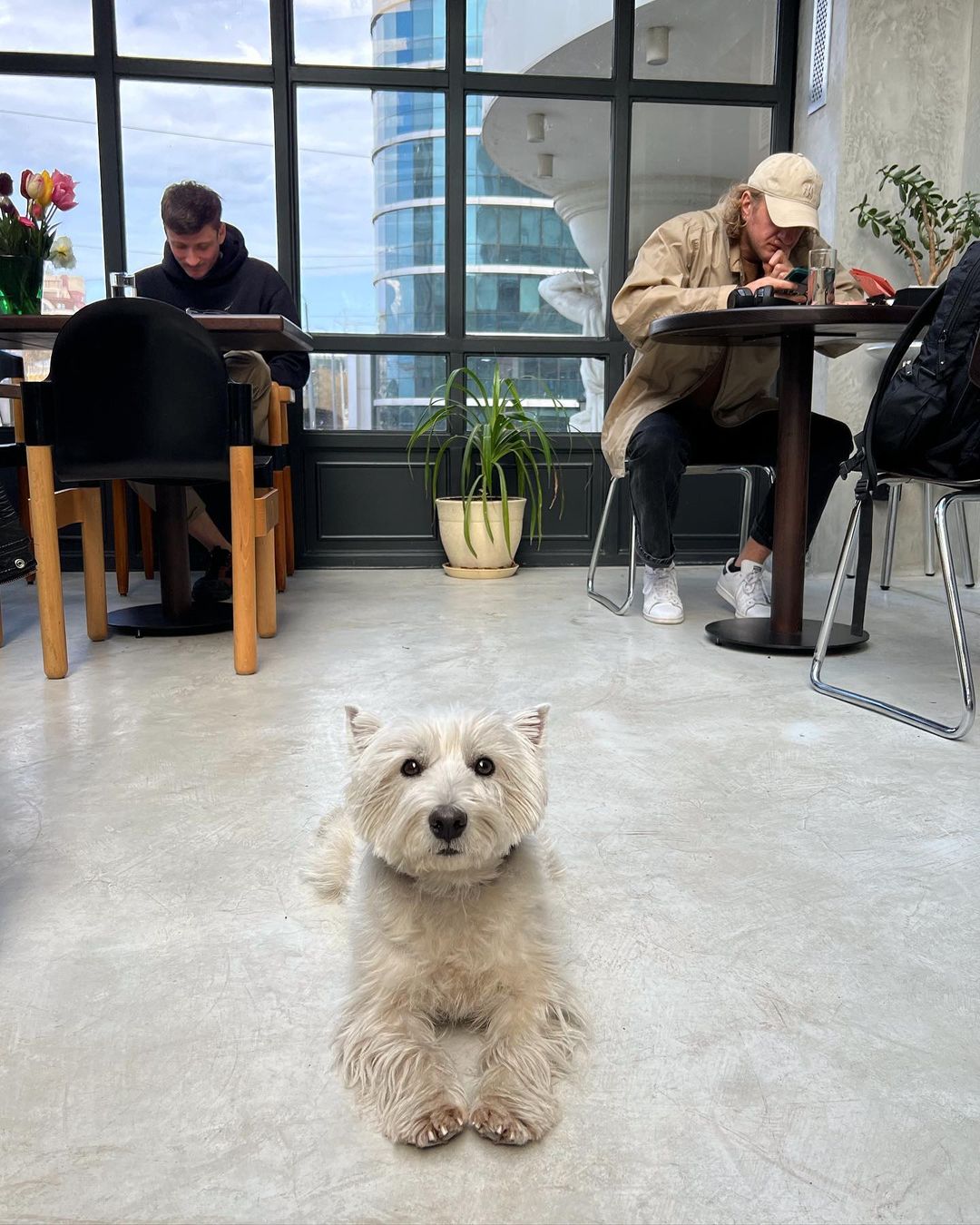 Простір "Ось наша культура".