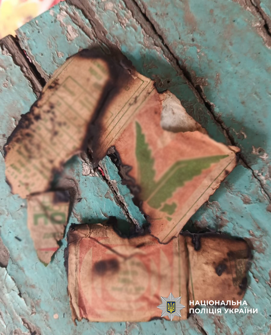 Залишки коробки з порохом, яку підпалили підлітки.