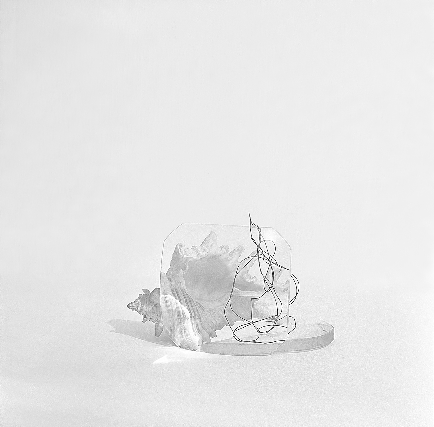 Василий Рябченко. "Композиция со стеклом", фотография, 1970-е года