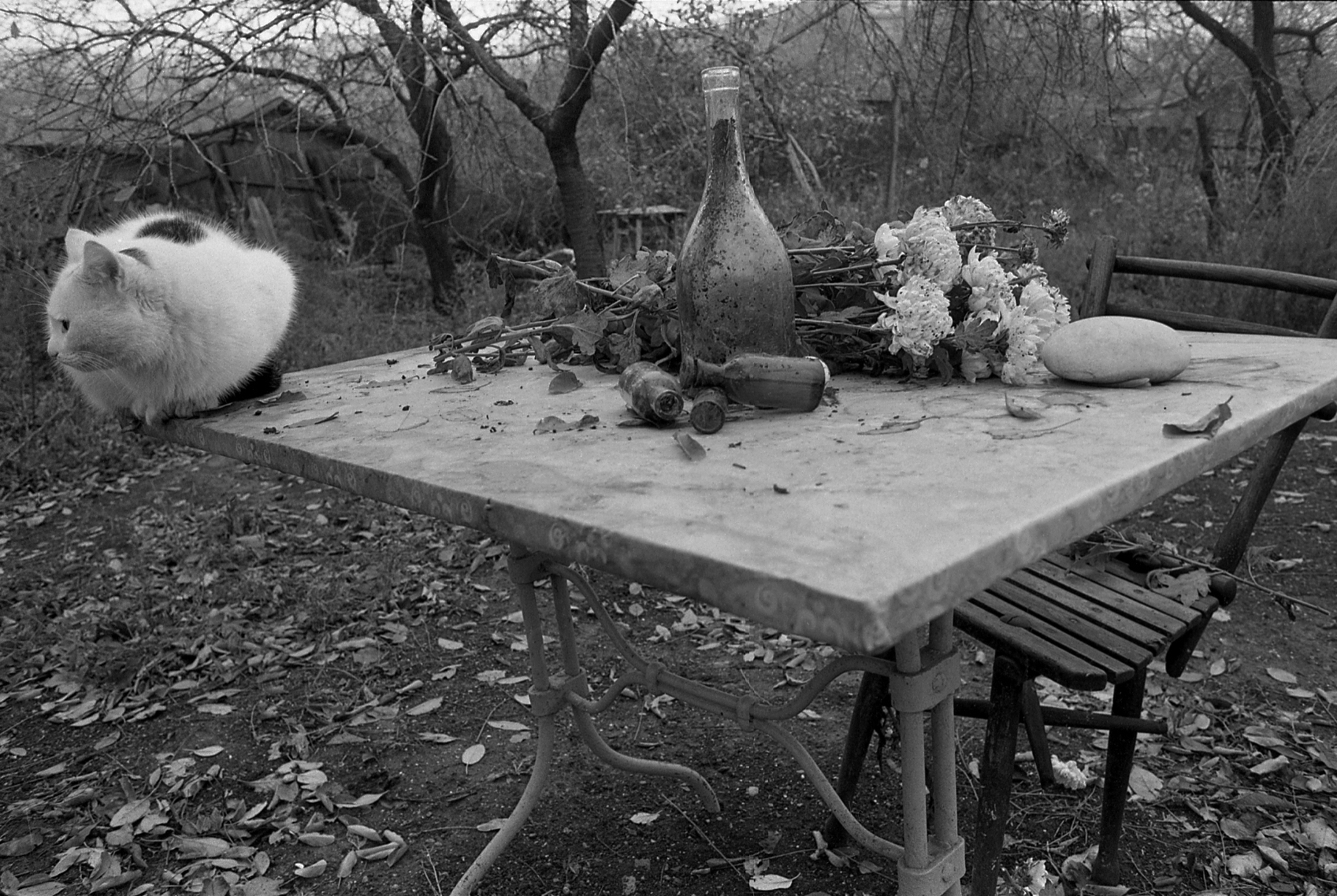 Василий Рябченко. "Хозяин" (Одесса, 16 станция Большого Фонтана), фотография, 1987 год