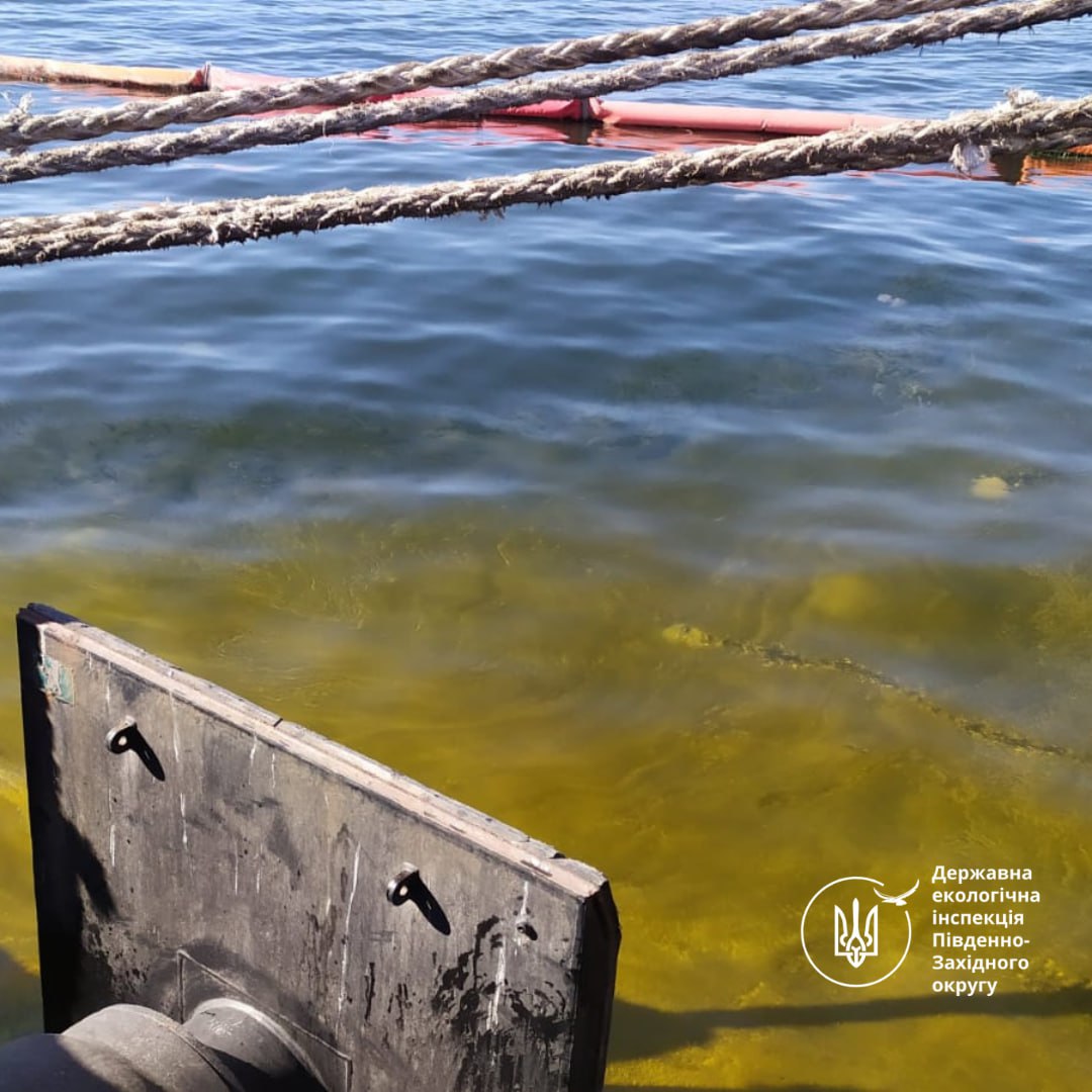 Соняшникова олія у воді.