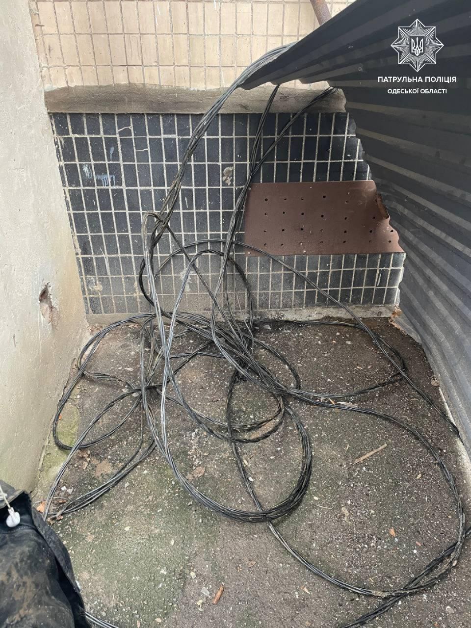 Кабель, який намагався вкрасти порушник.