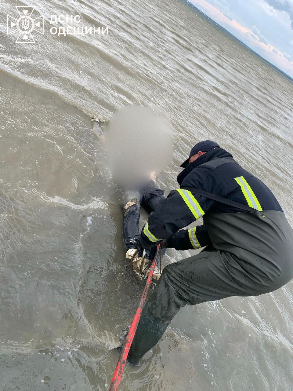 Спасатель извлекает из воды утопленника.