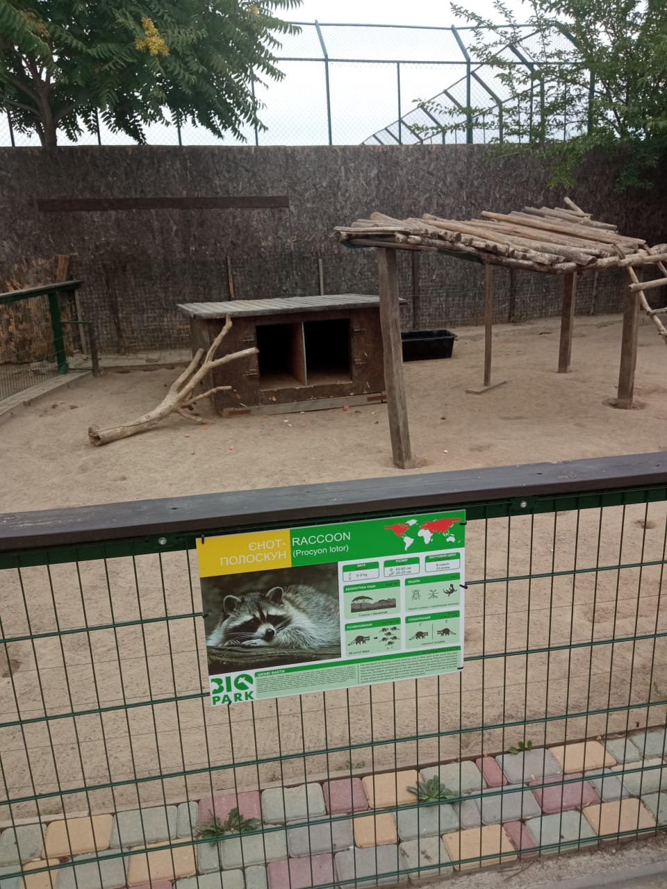 Вольер енотов в "Биопарке" Одессы.