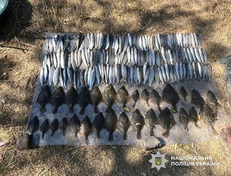 Незаконный улов.