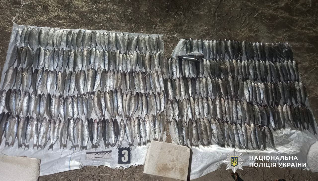 Риба, яку спіймав браконьєр.