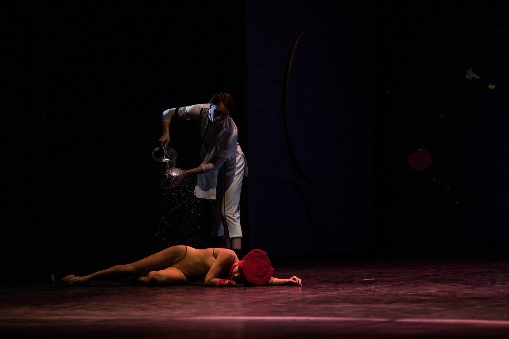 Спектакль "Маленький принц".