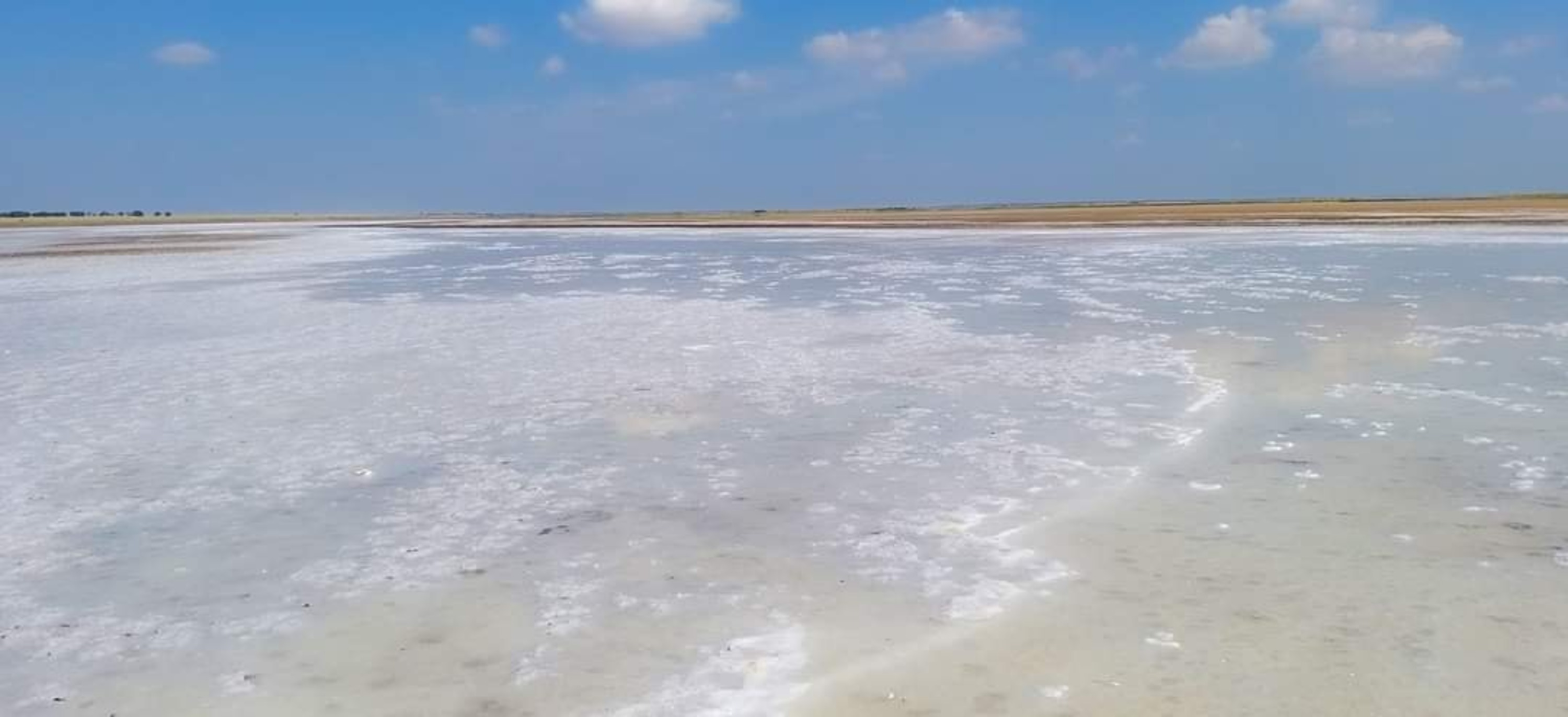 Сіль на Тузлівських лиманах.