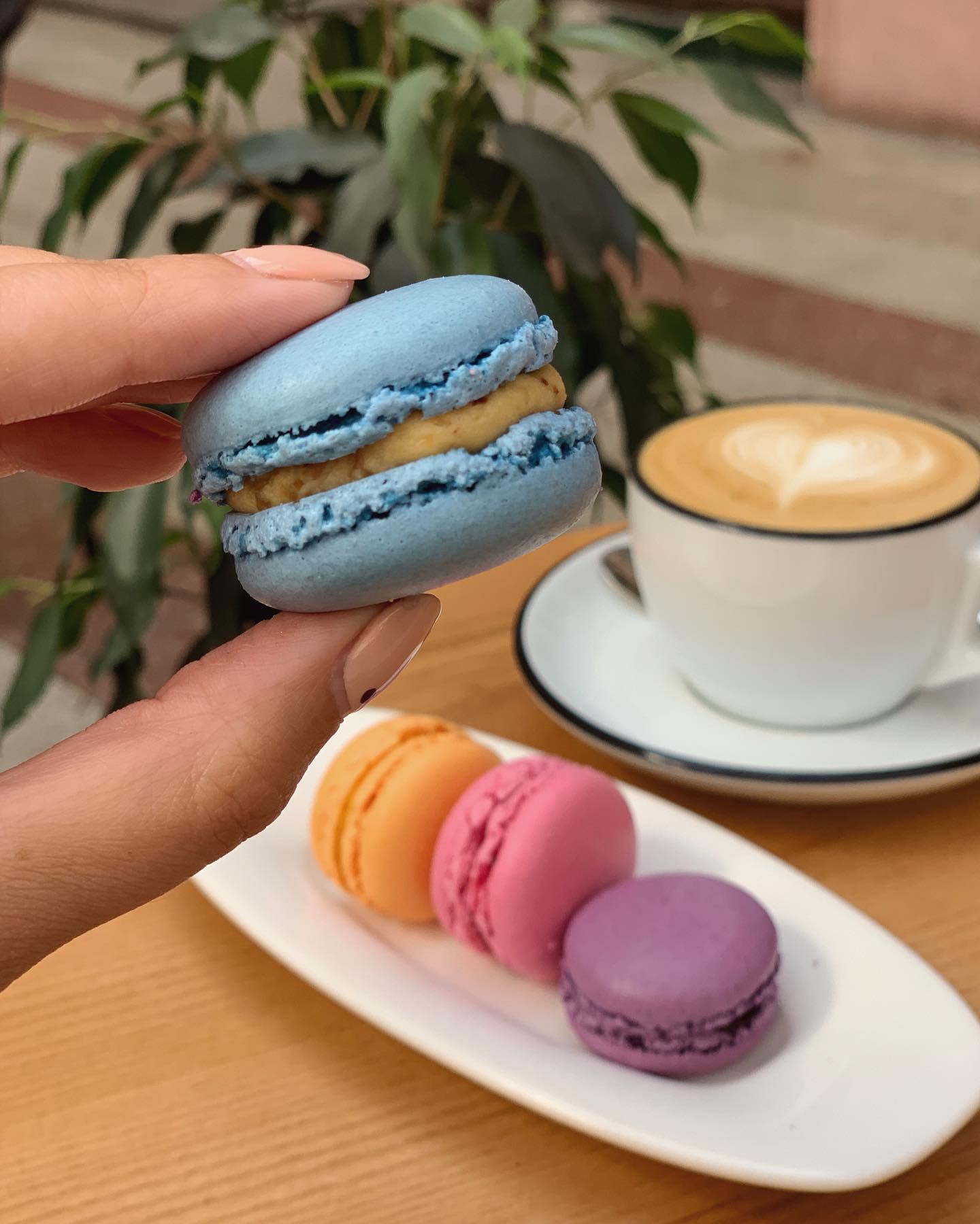 Кафе-кондитерская Pierre La Sweet Boutique.