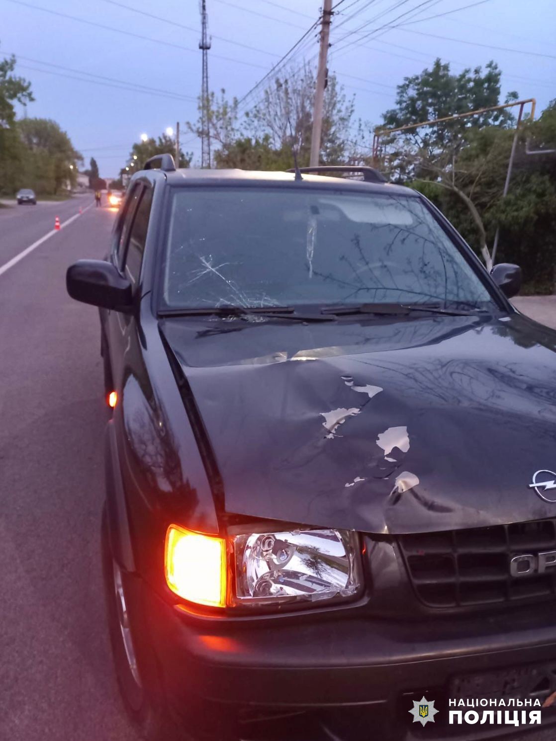 В Одесской области водитель насмерть сбил пожилого мужчину.