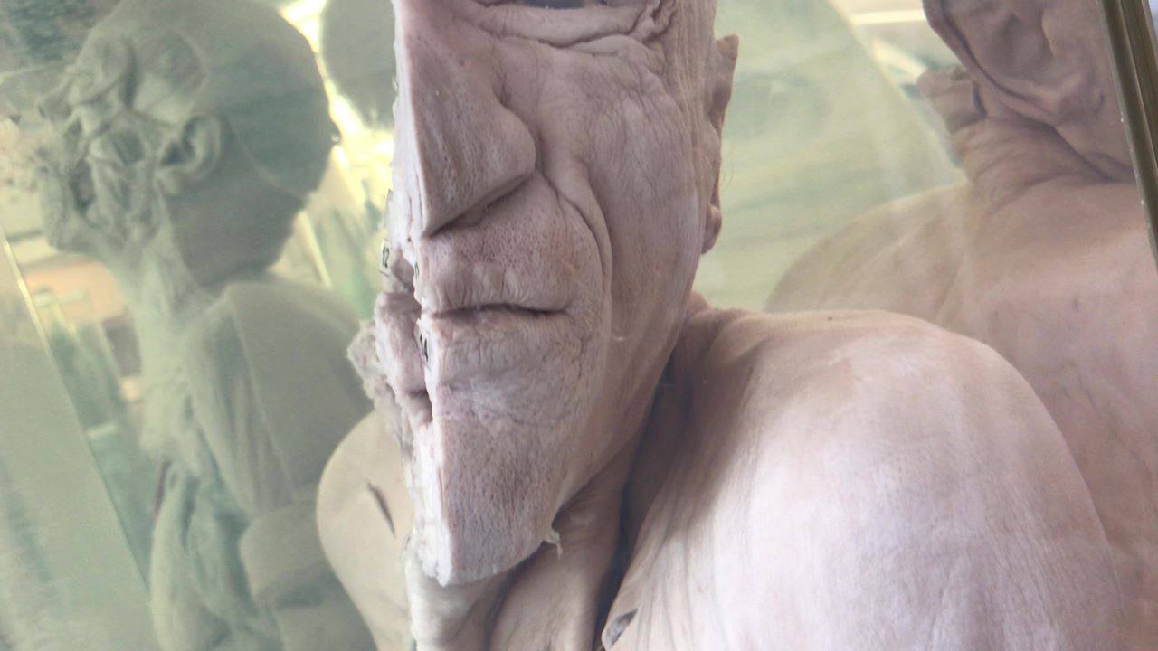 Одесситов и гостей нашего города приглашают на экскурсию в Музей анатомии человека.