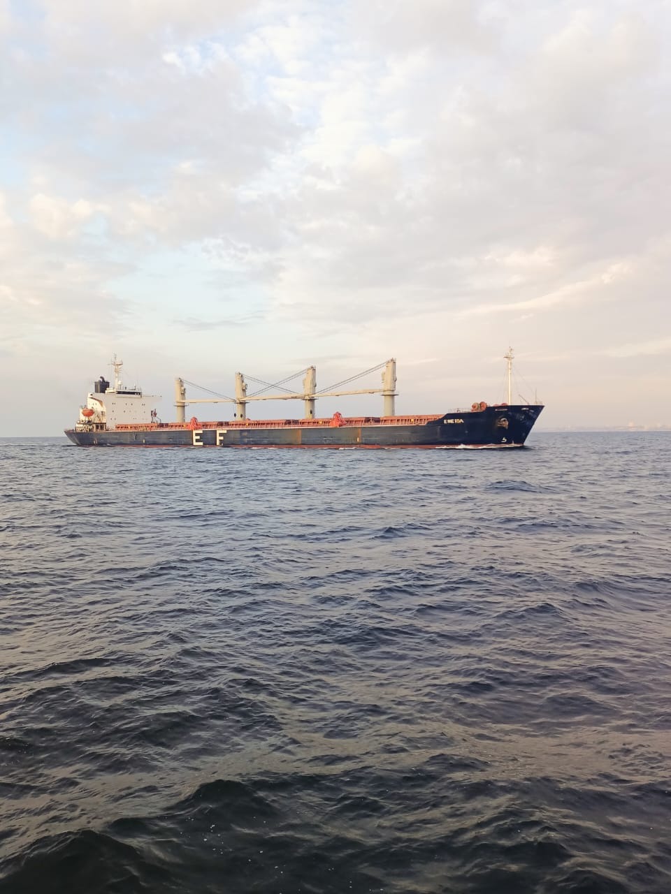 Из портов Большой Одессы вышли еще три судна с железной рудой и агропродукцией.