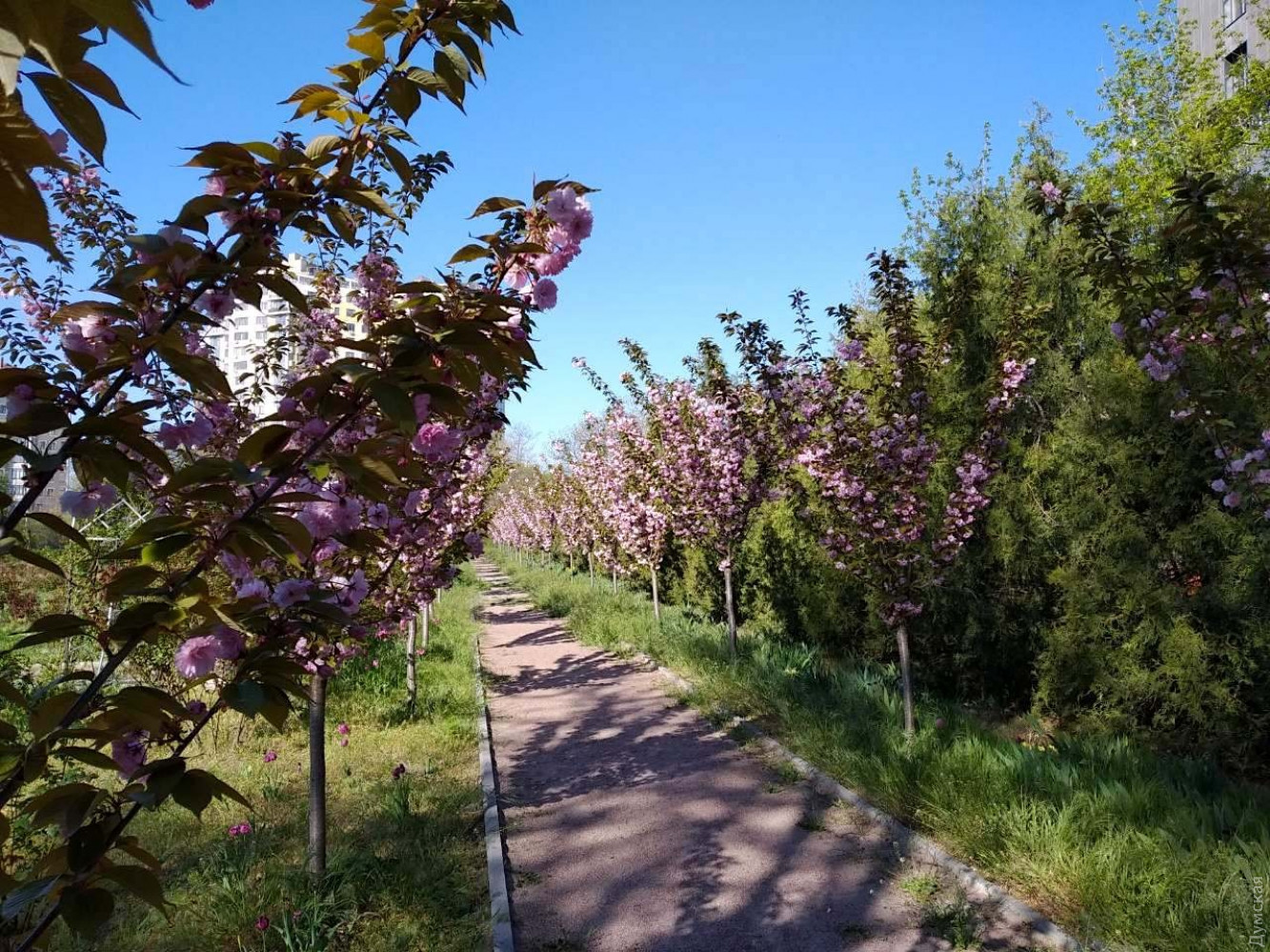 Ботанический сад.