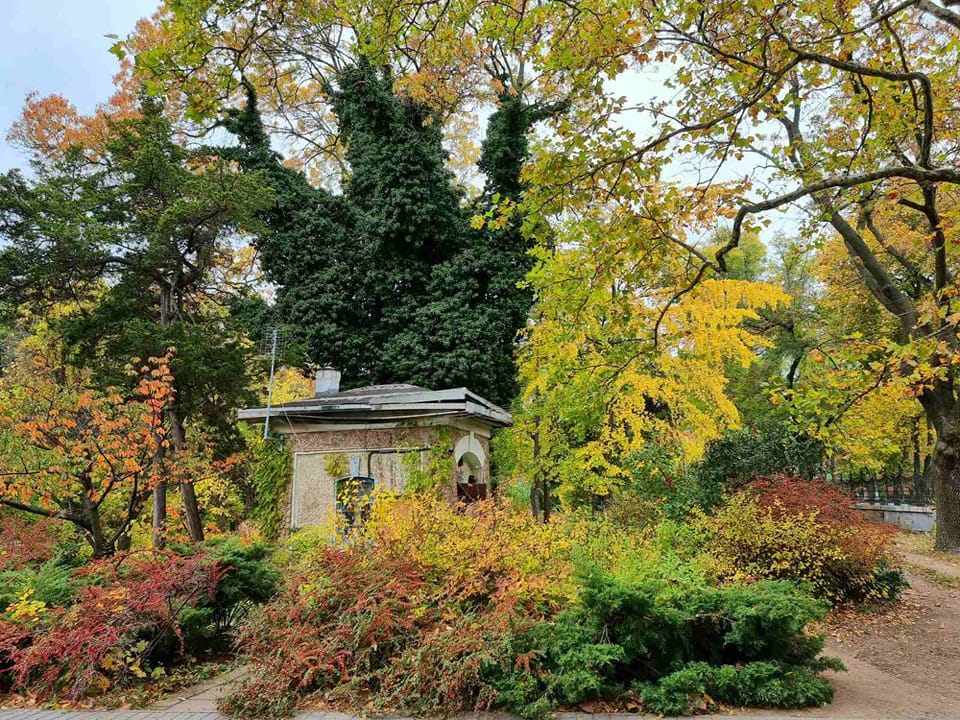 В Одесском ботаническом саду пройдет последняя осенняя экскурсия.