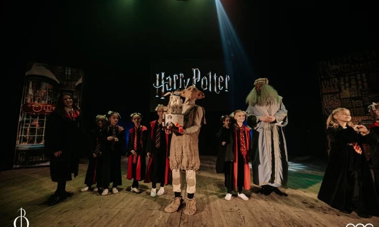 Шоу "Гарри Поттер на Новый год".