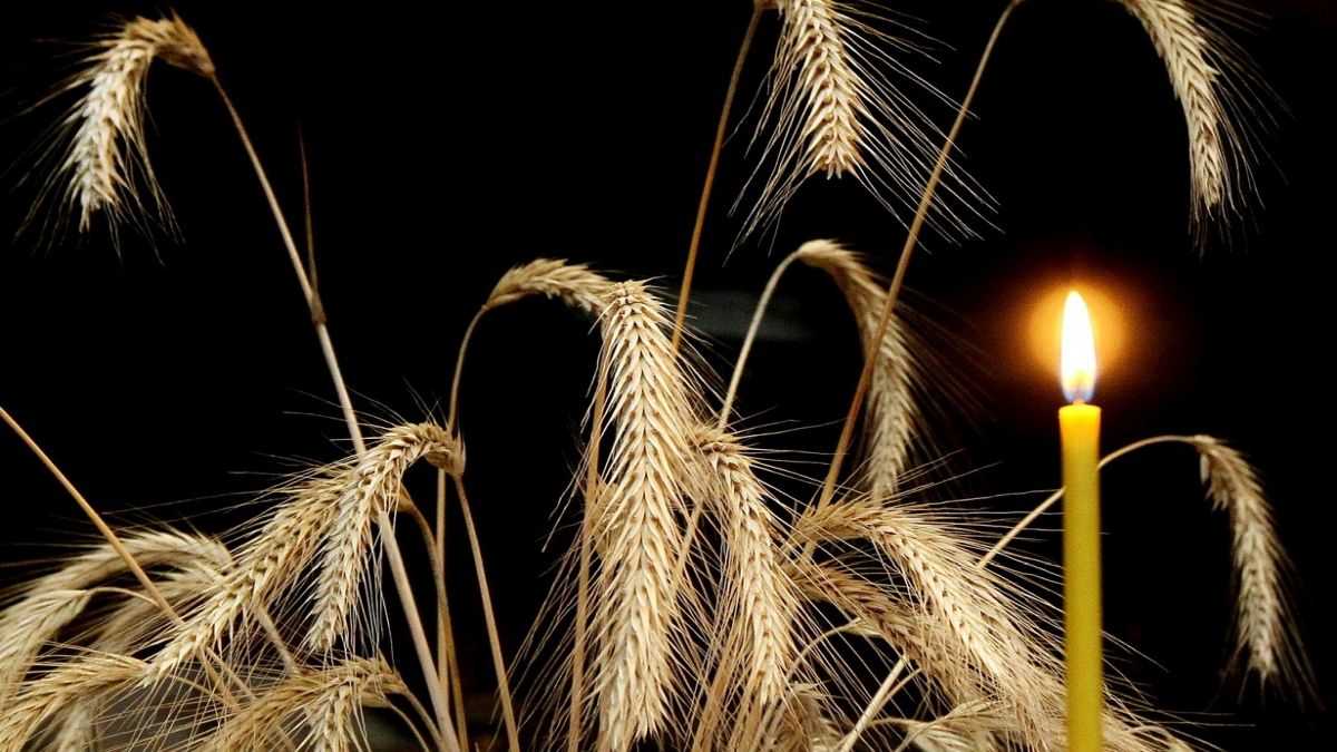 Александр Музычко расскажет о жертвах Голодомора.